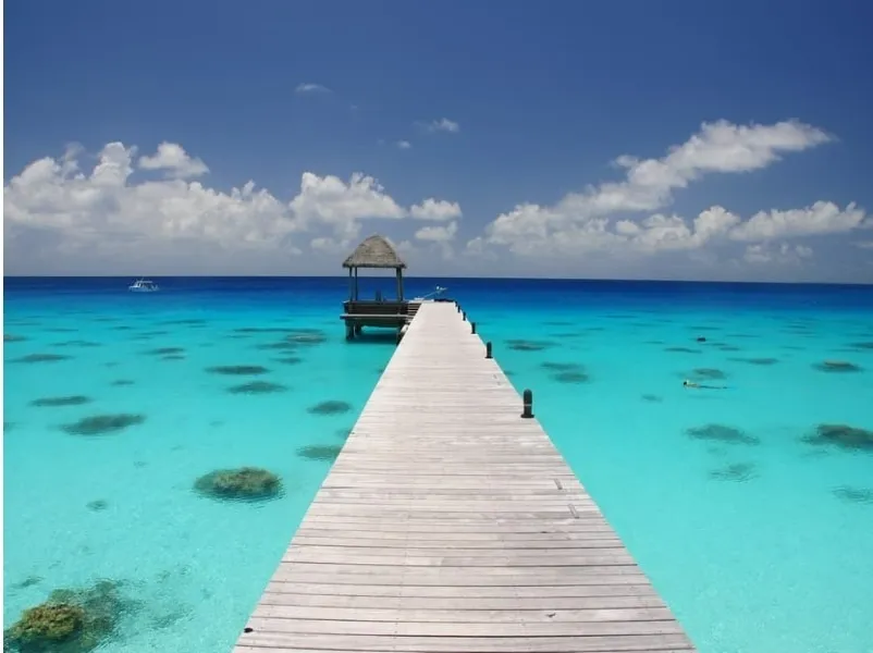 Wondeful Feet OnlyFans header