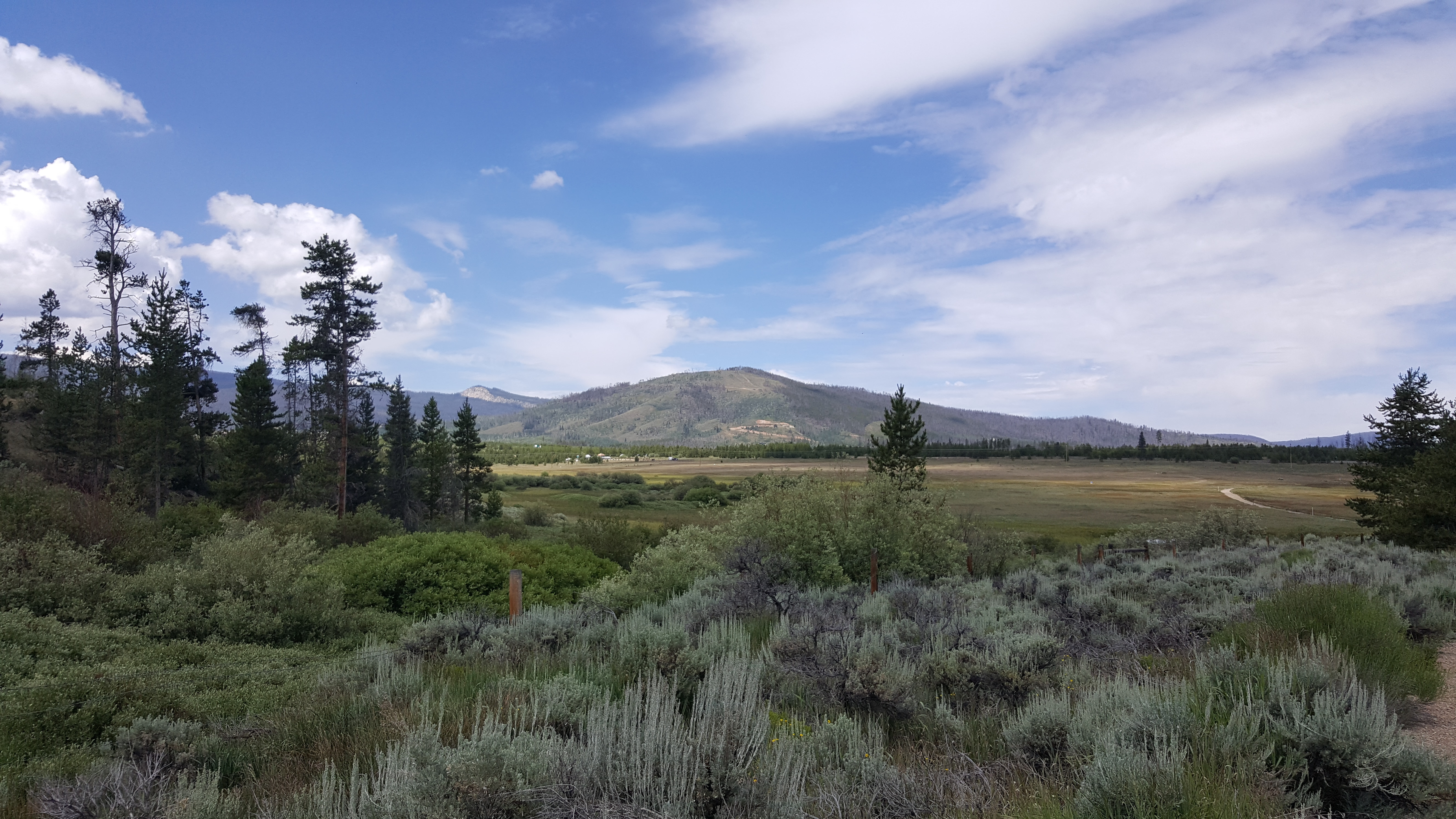 Mr. Fluff Stuff OnlyFans header