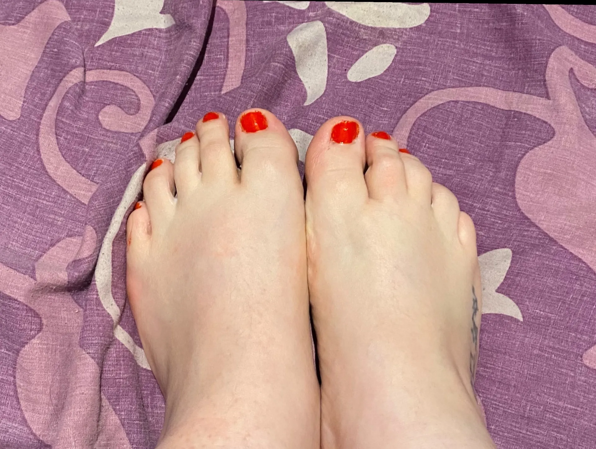 FeetAndFriendsxoxo OnlyFans header