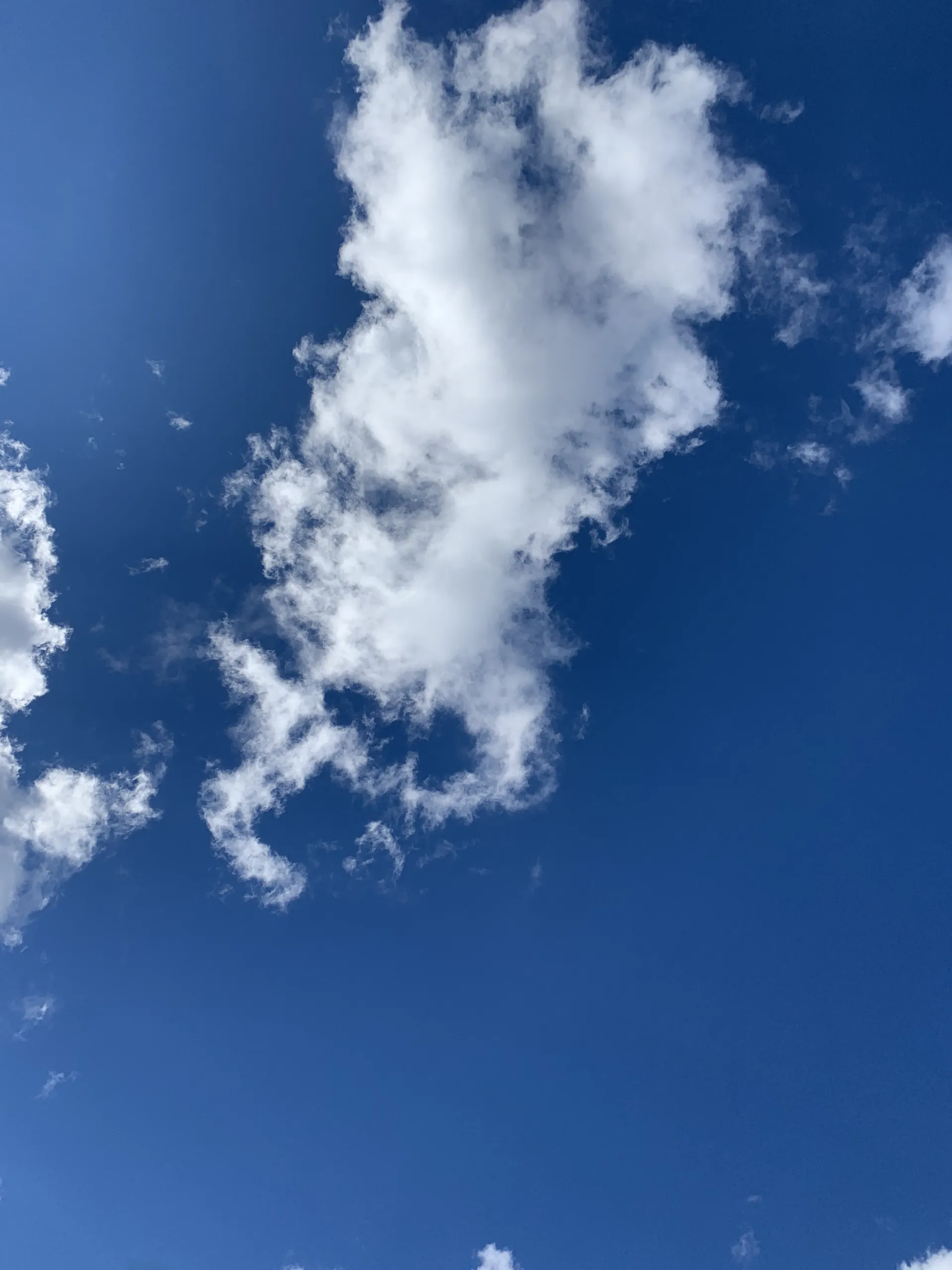 Lady Feet OnlyFans header