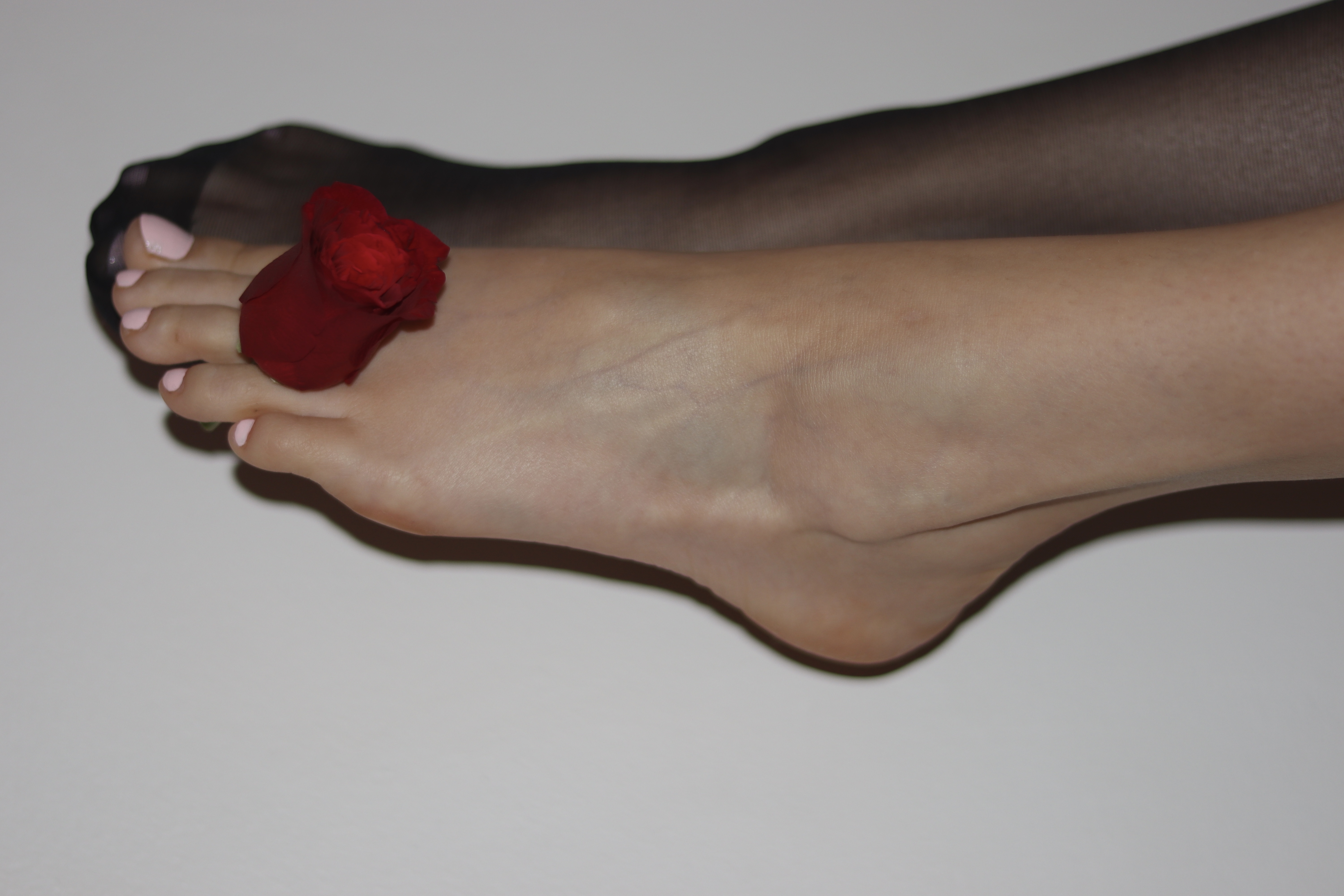 Angelica OnlyFans header