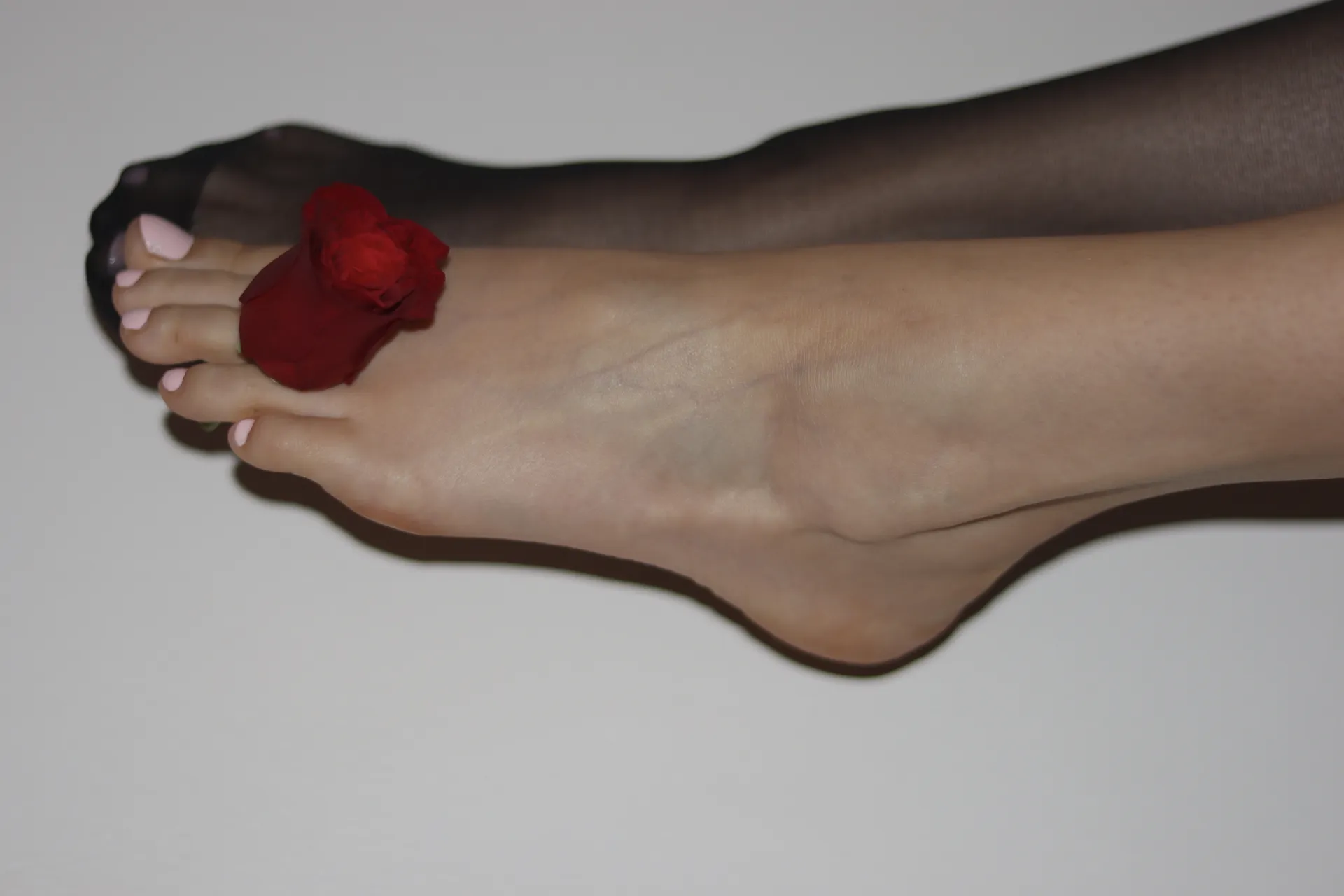 Angelica OnlyFans header