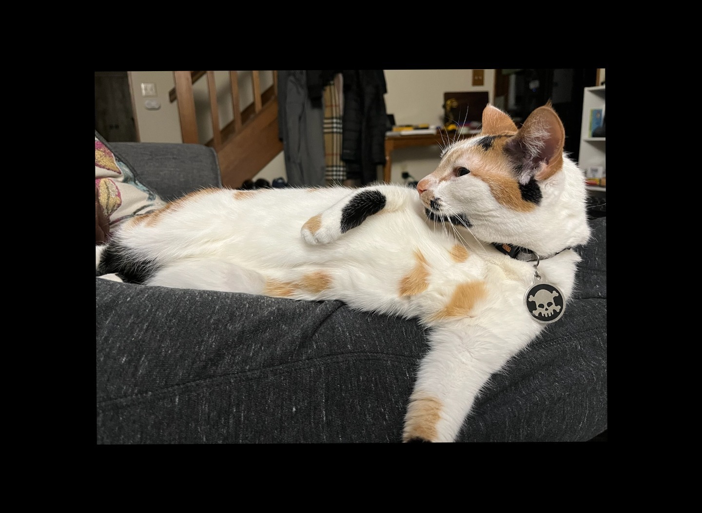 Manfeet. OnlyFans header