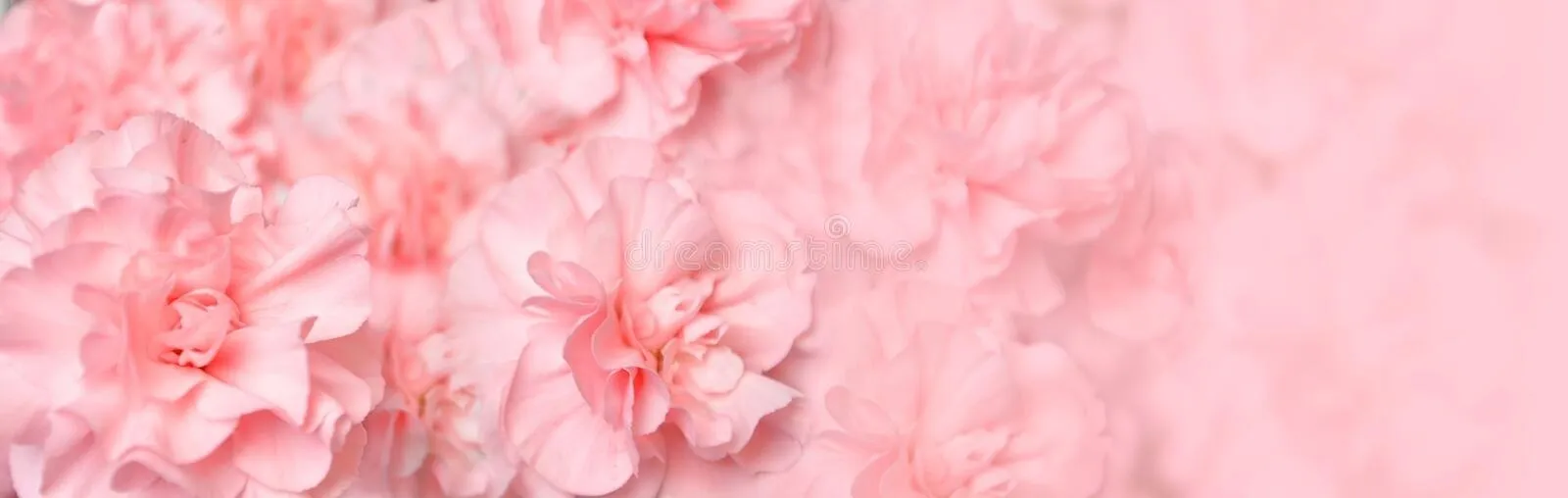 Marrian💕🧸 cover