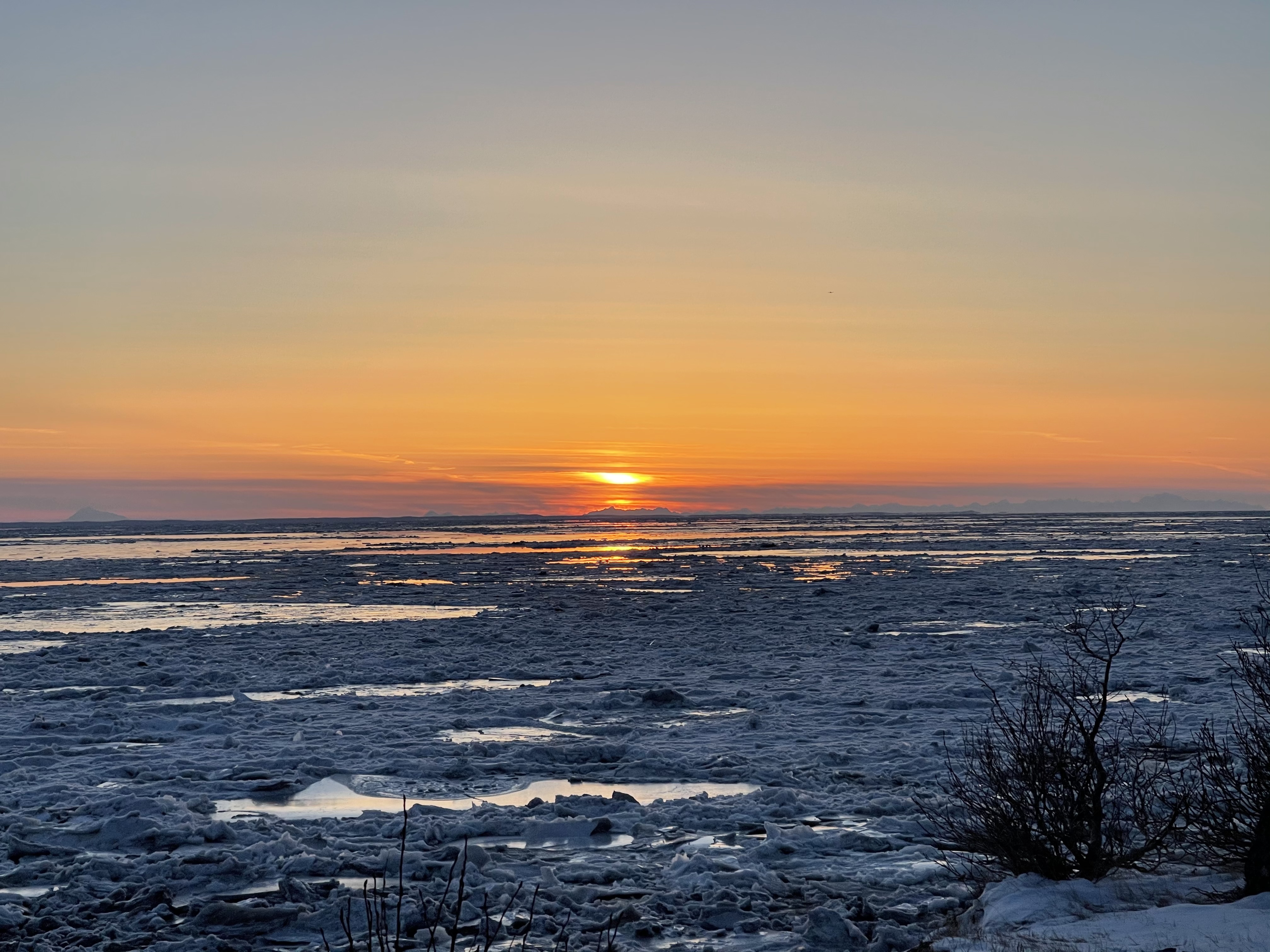 Princess Lizzy OnlyFans header