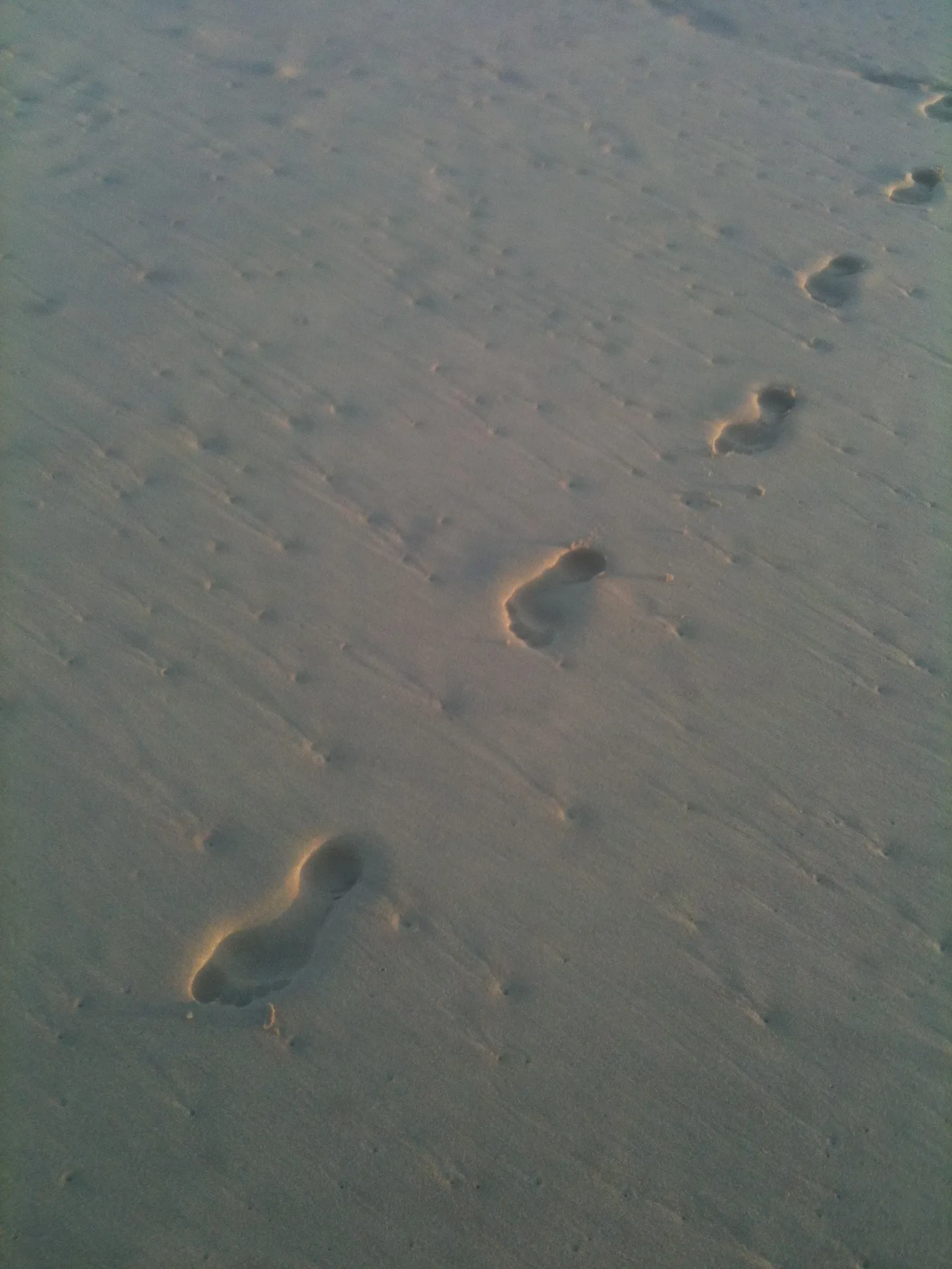 Feet By Fleur OnlyFans header