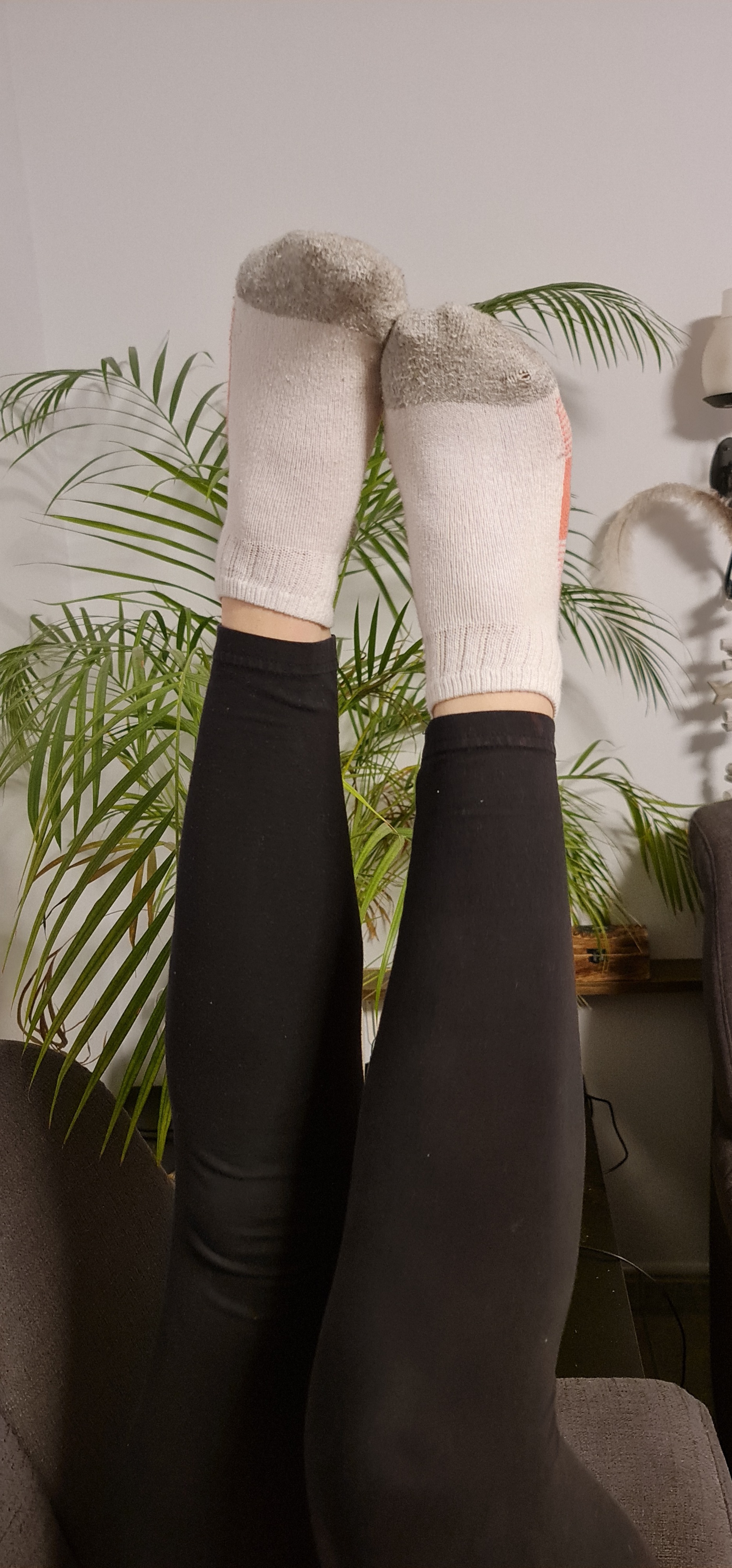 Feet dreams OnlyFans