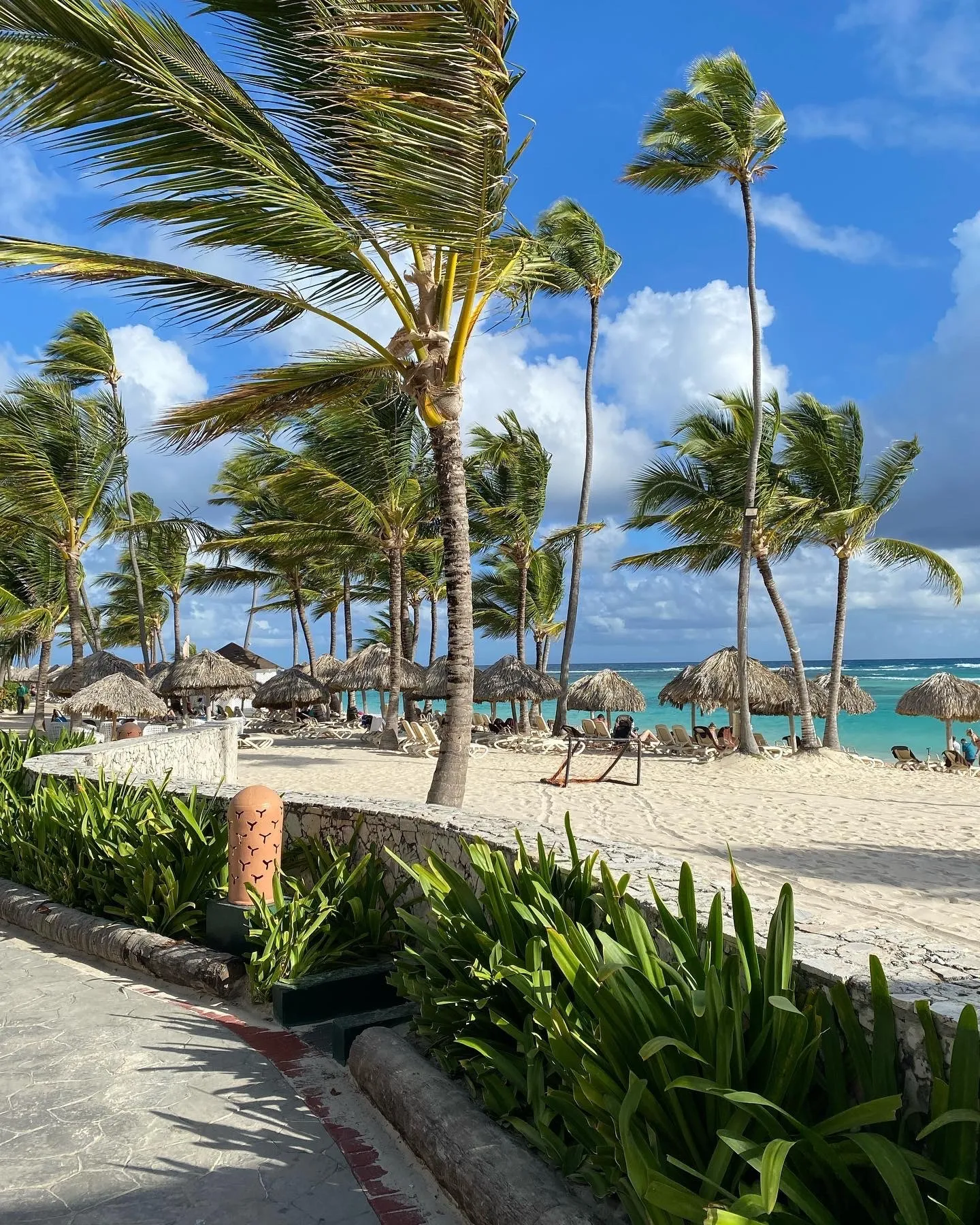 feetdreams OnlyFans header