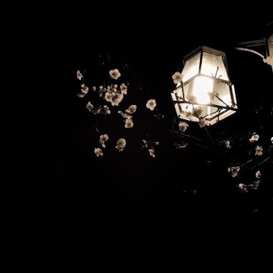 Feet pix OnlyFans header