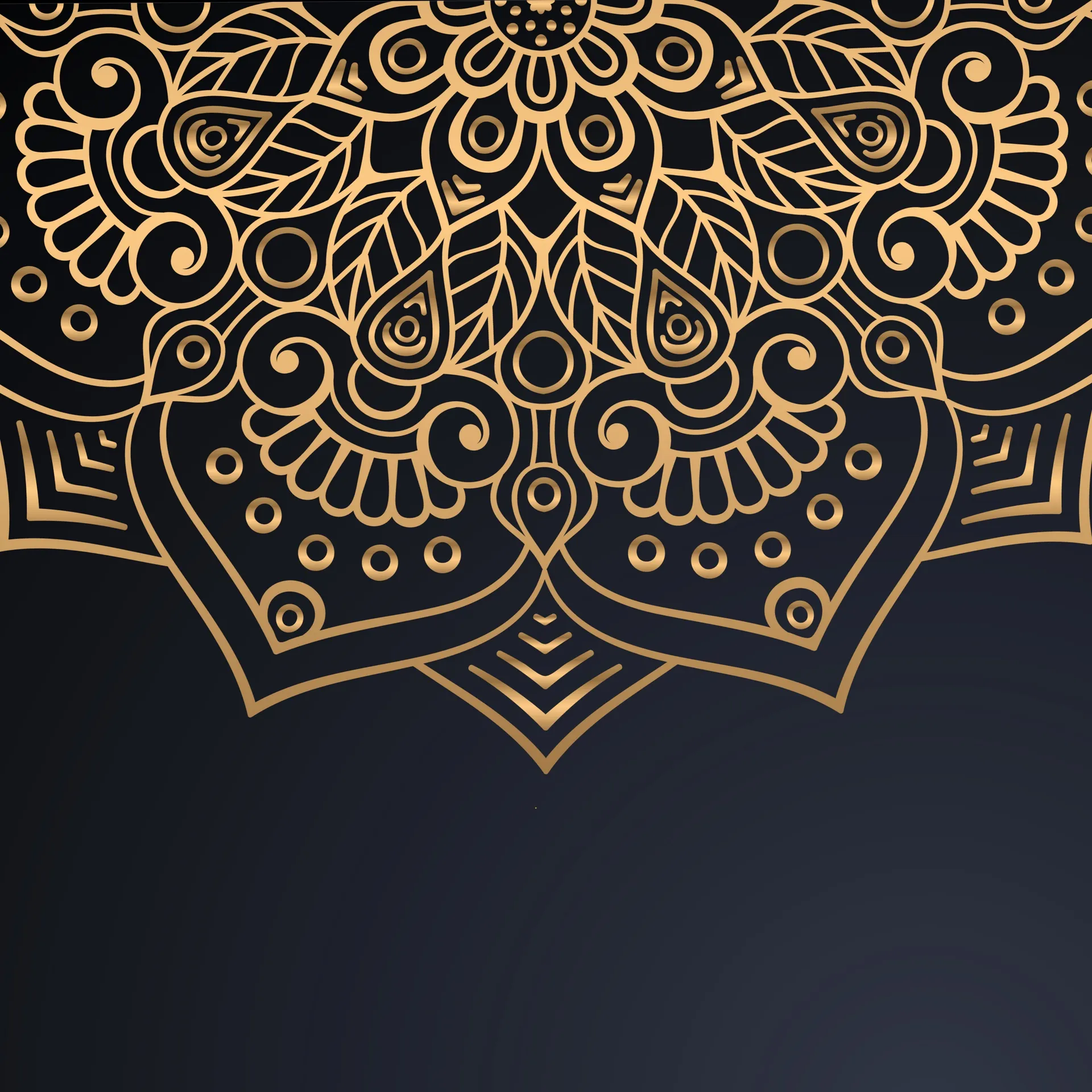 Holly OnlyFans header