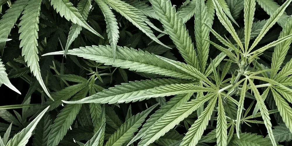 Foot Princess 👑 OnlyFans header