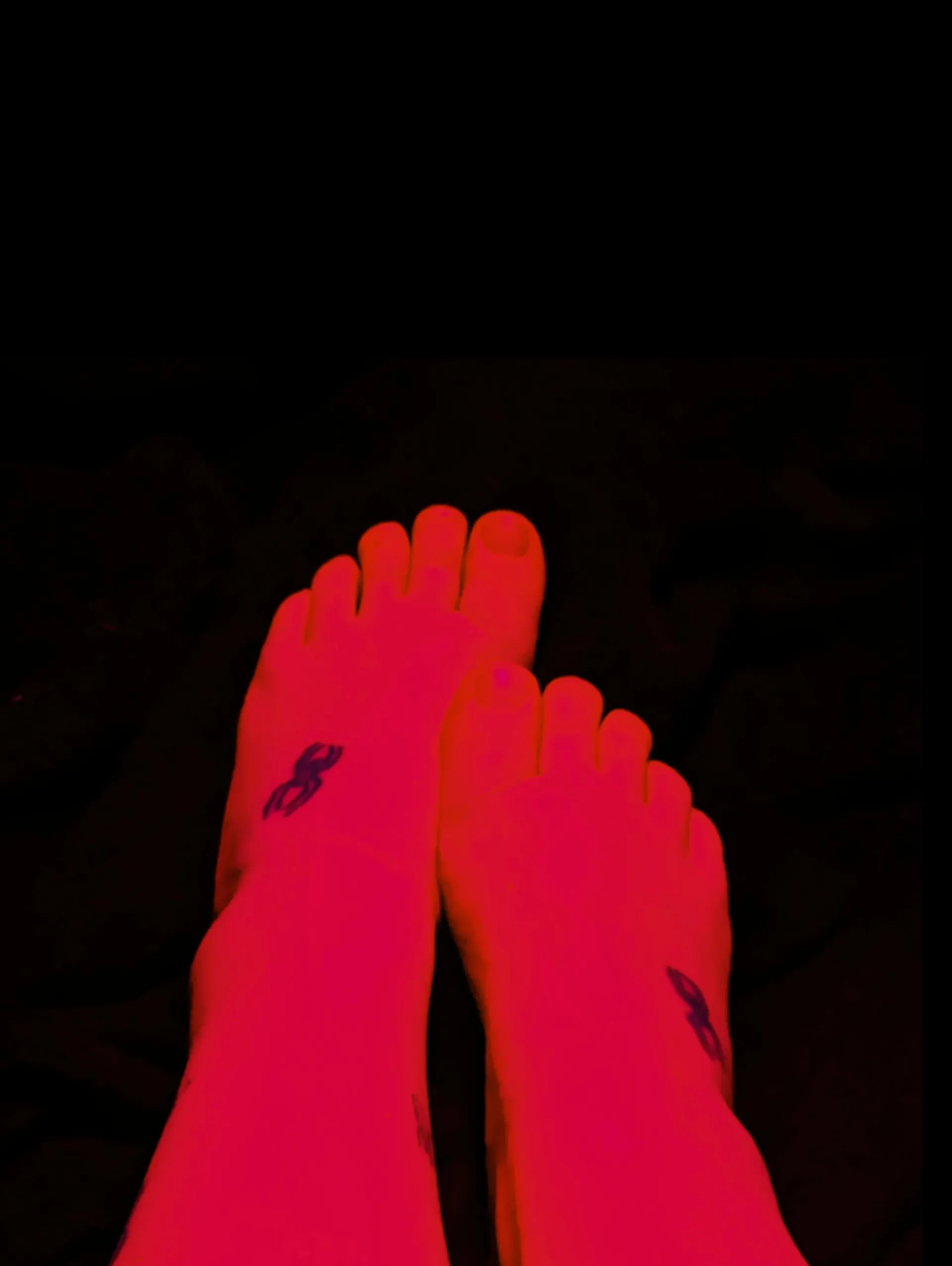 Domina cover