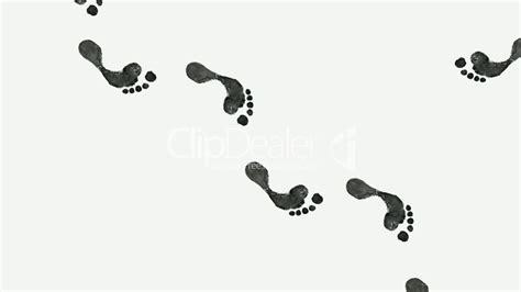 feet for dayz OnlyFans header