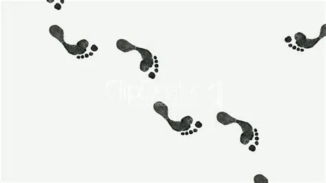 feet for dayz OnlyFans header