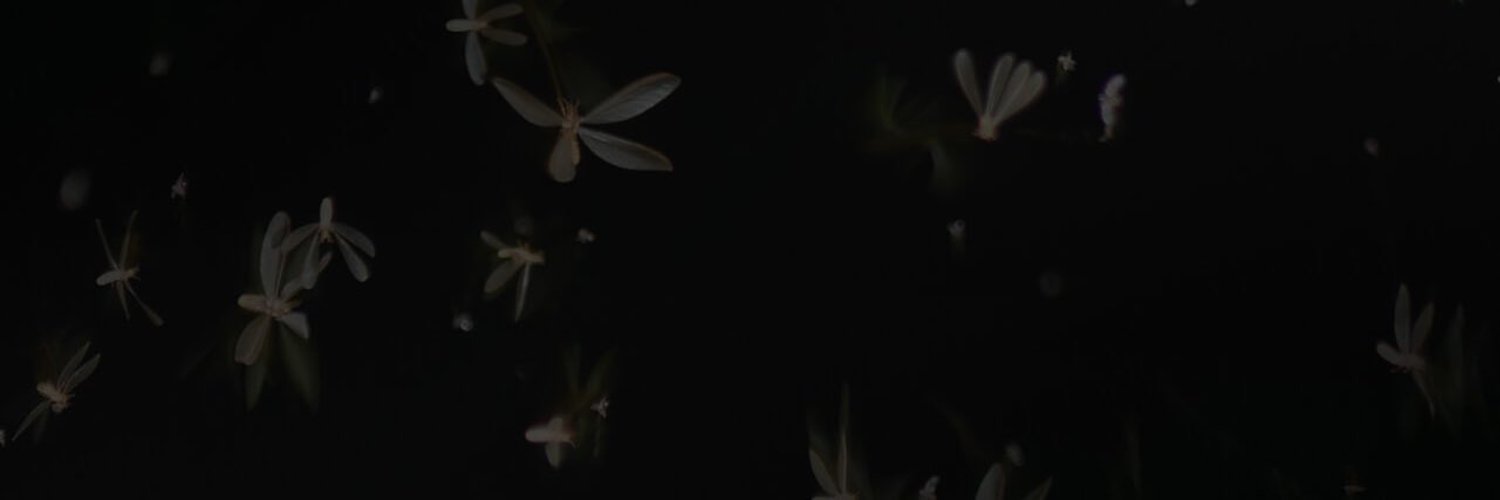 Feetforhim OnlyFans header