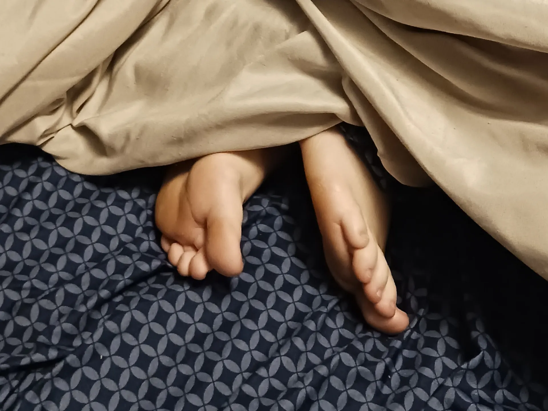 Ariana OnlyFans header