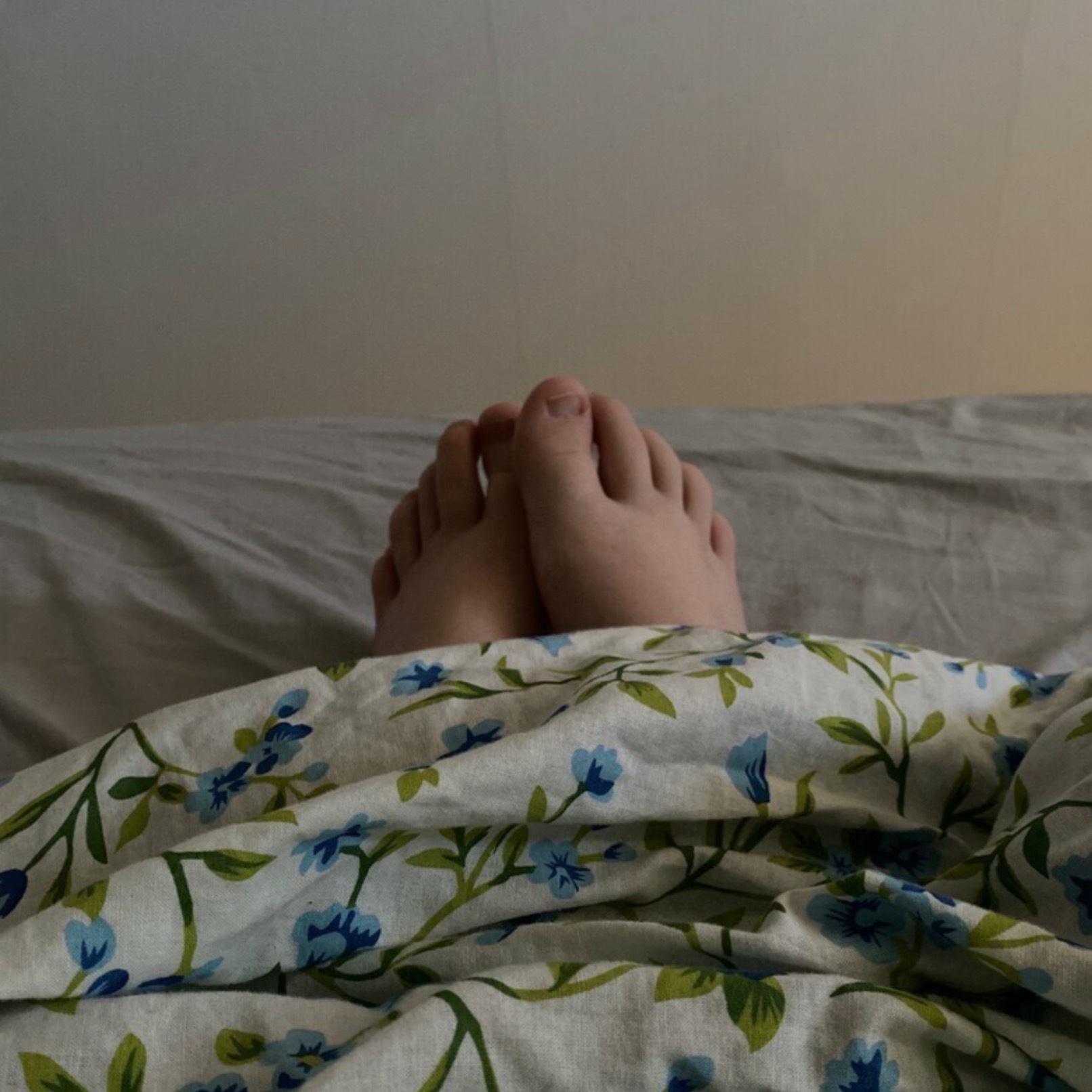 FeetForward OnlyFans header