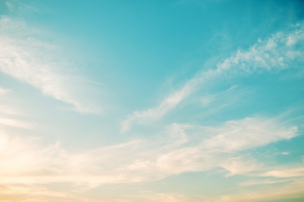 Feet People OnlyFans header