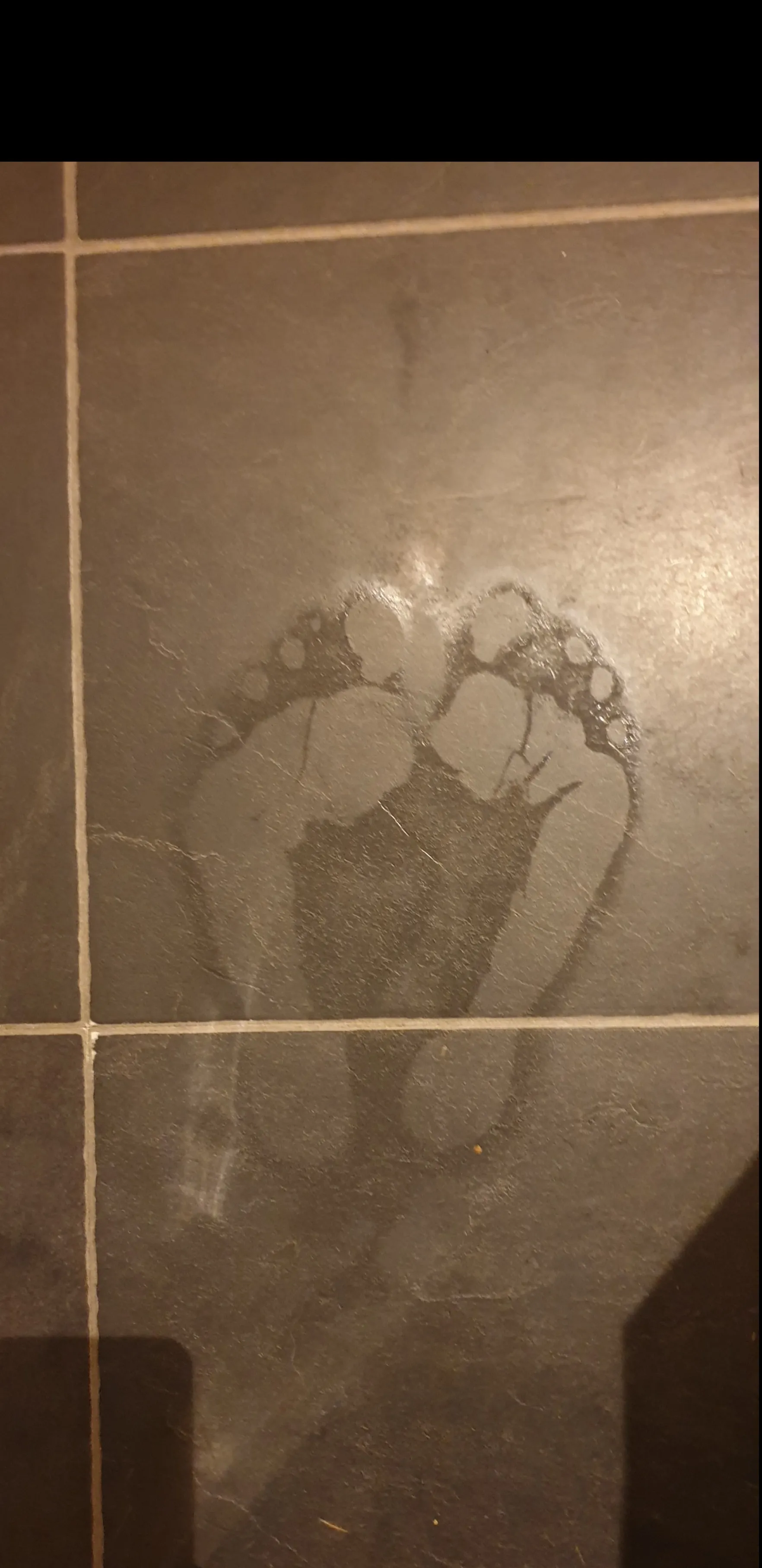 Little tootsies OnlyFans header