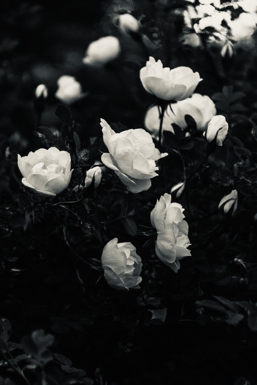 Bailey Rae OnlyFans header