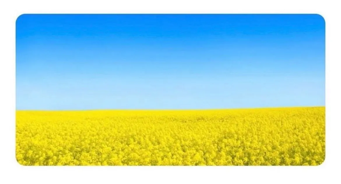 FeetFromUkraine OnlyFans header