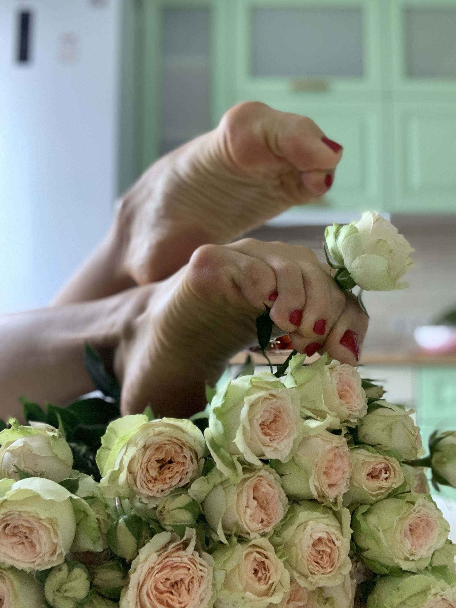 Pointe Queen OnlyFans