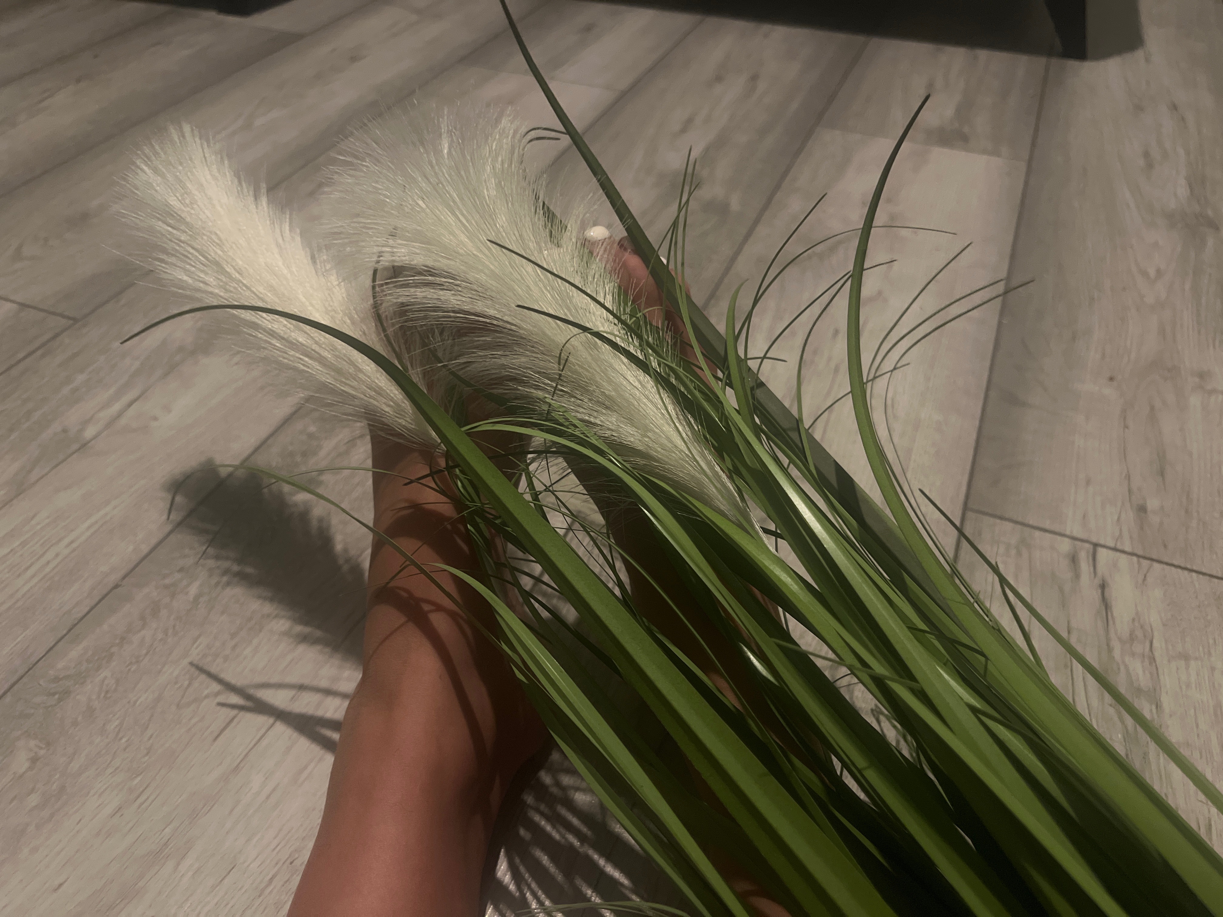 Feetie_may OnlyFans header