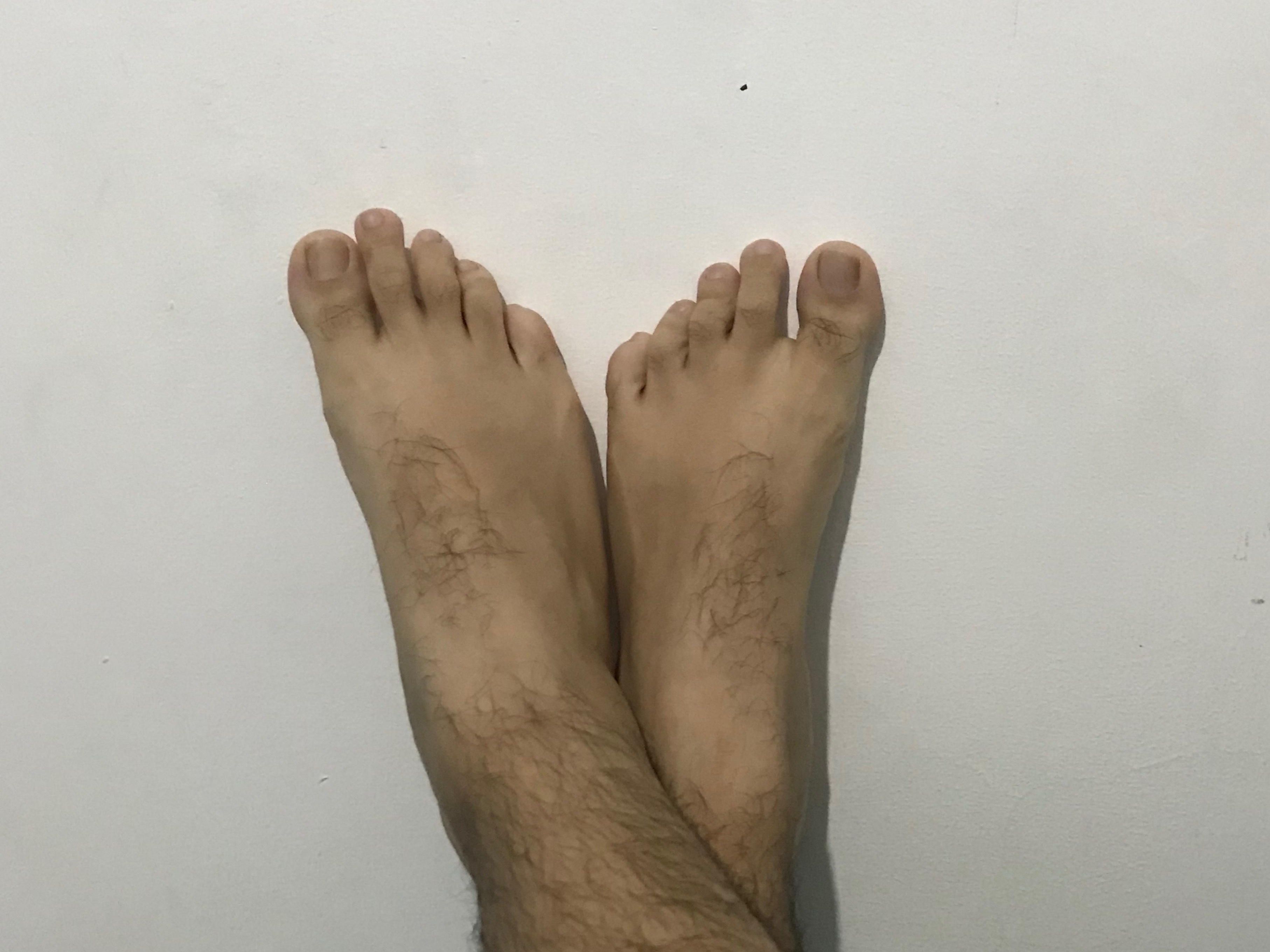 Feetiegdl