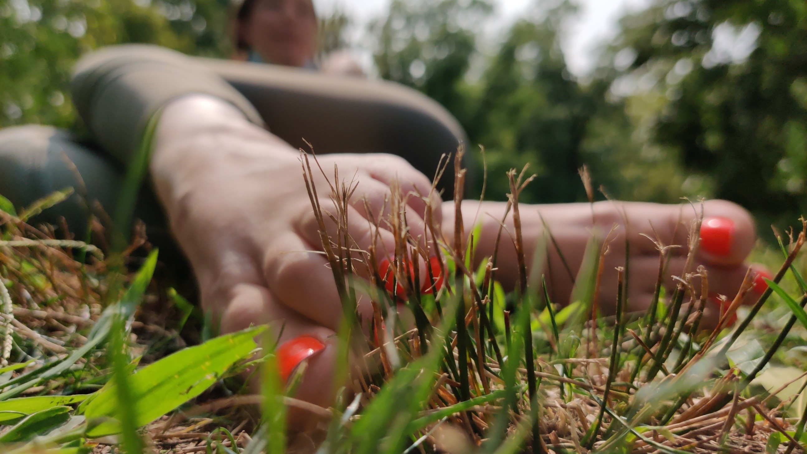 City Trotter OnlyFans header