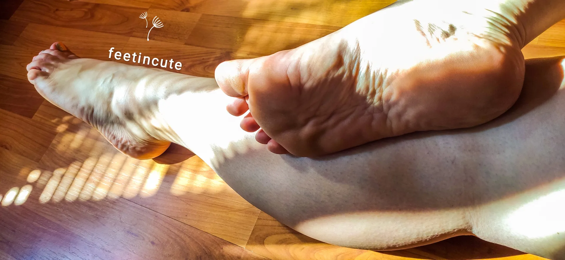 feetincute OnlyFans header