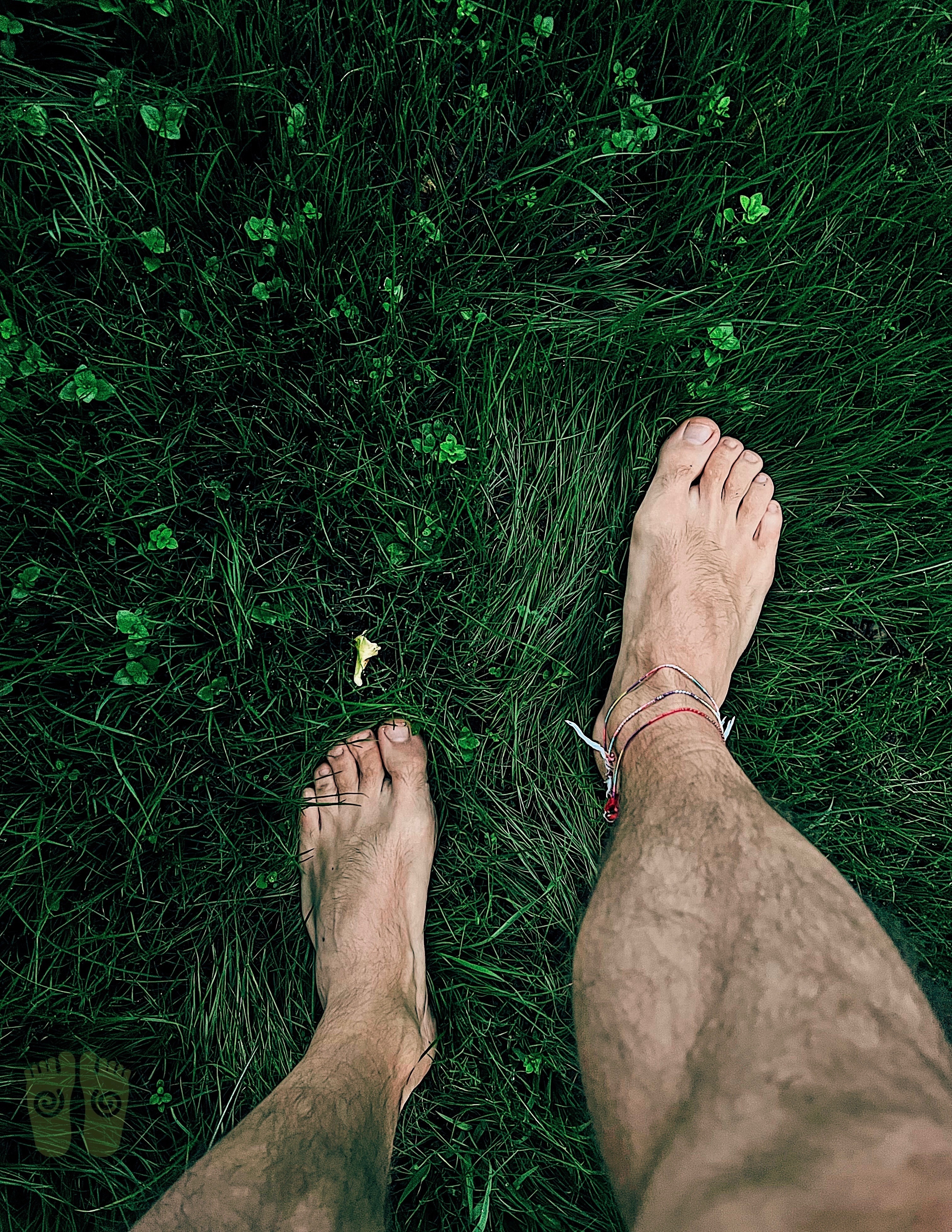 FeetInTrees OnlyFans