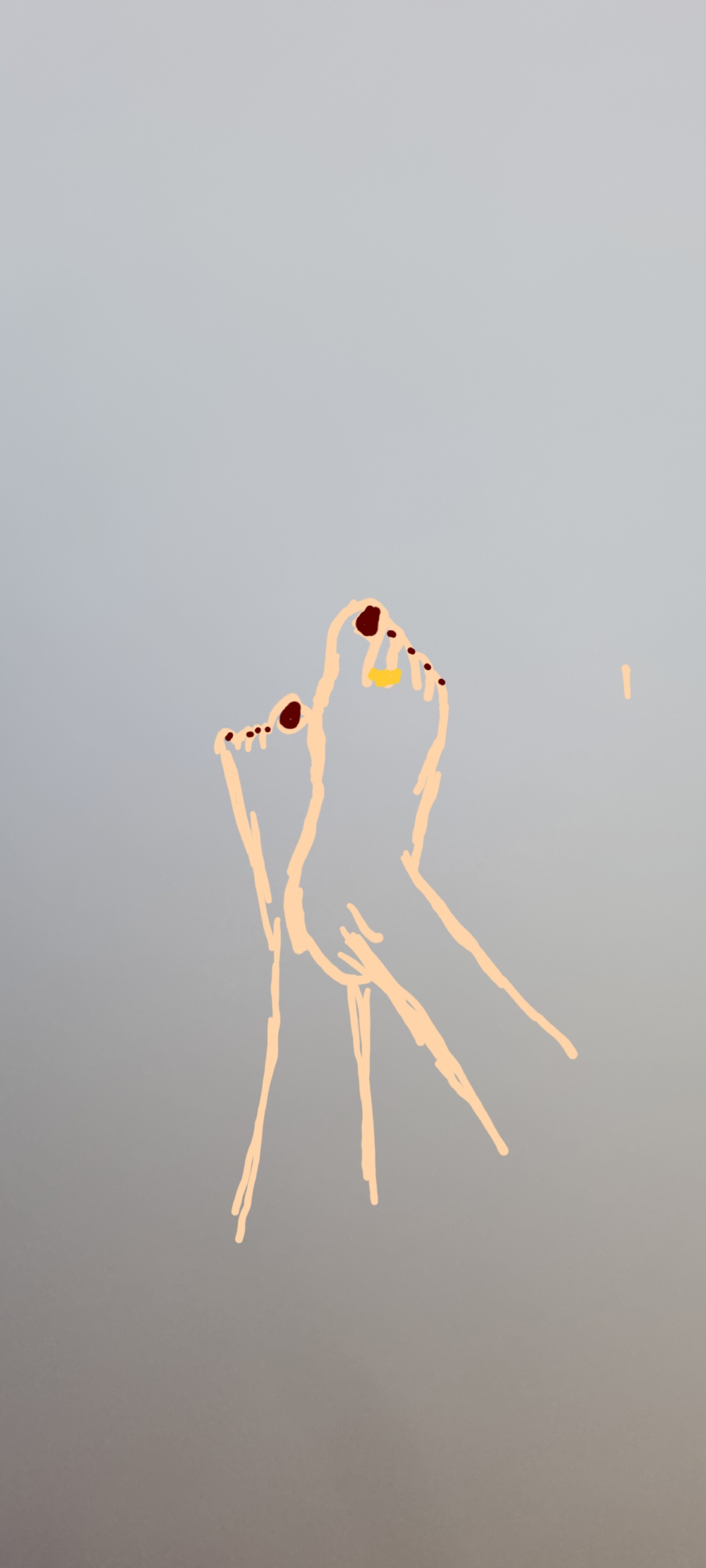 Feetishist OnlyFans header