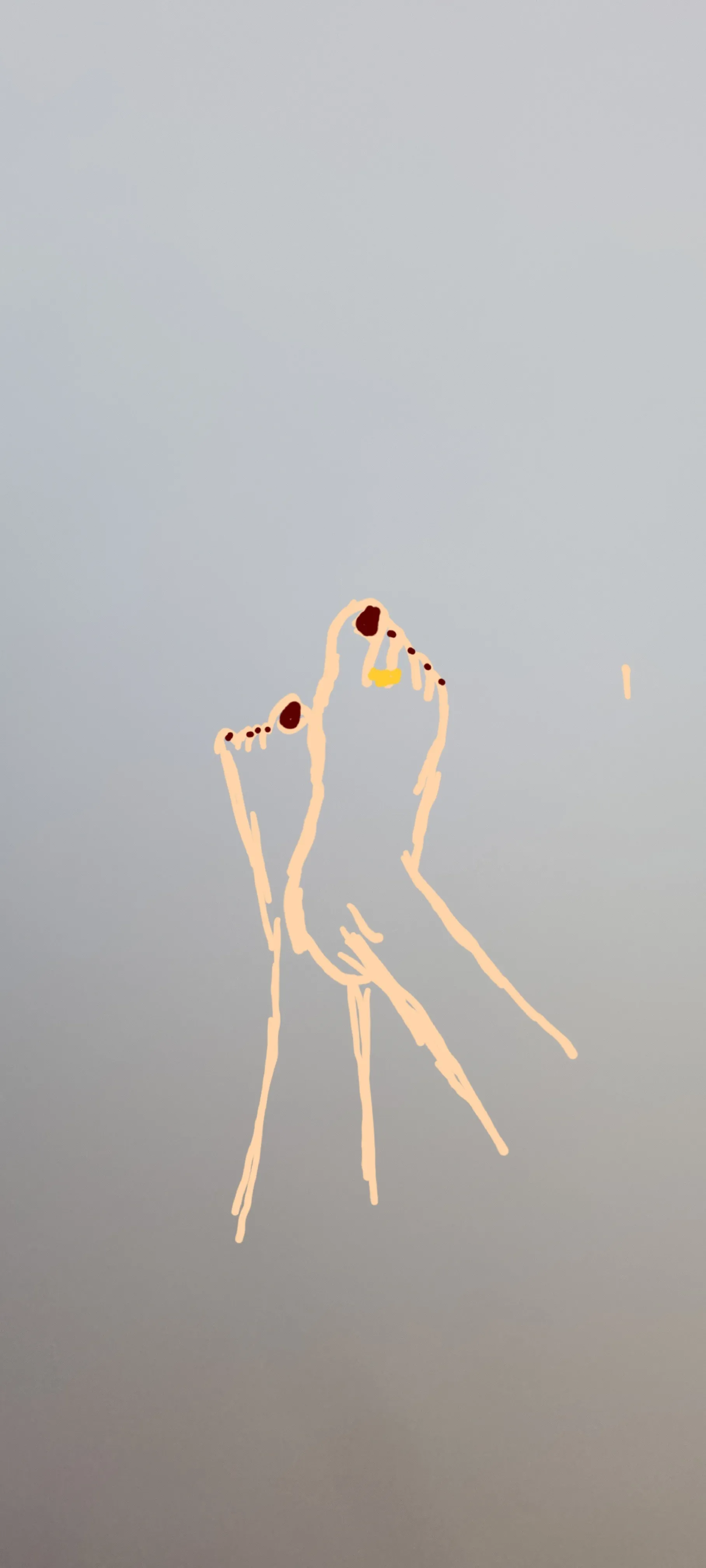 Feetishist OnlyFans header