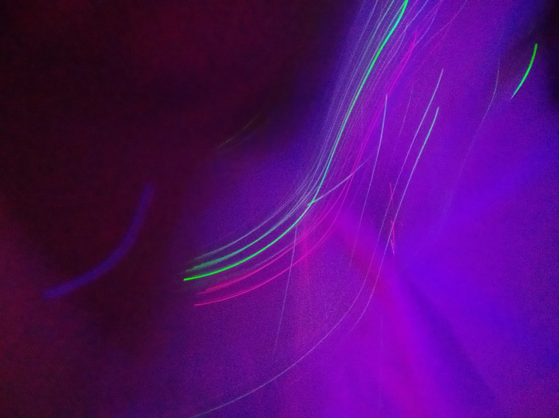 Poly OnlyFans header