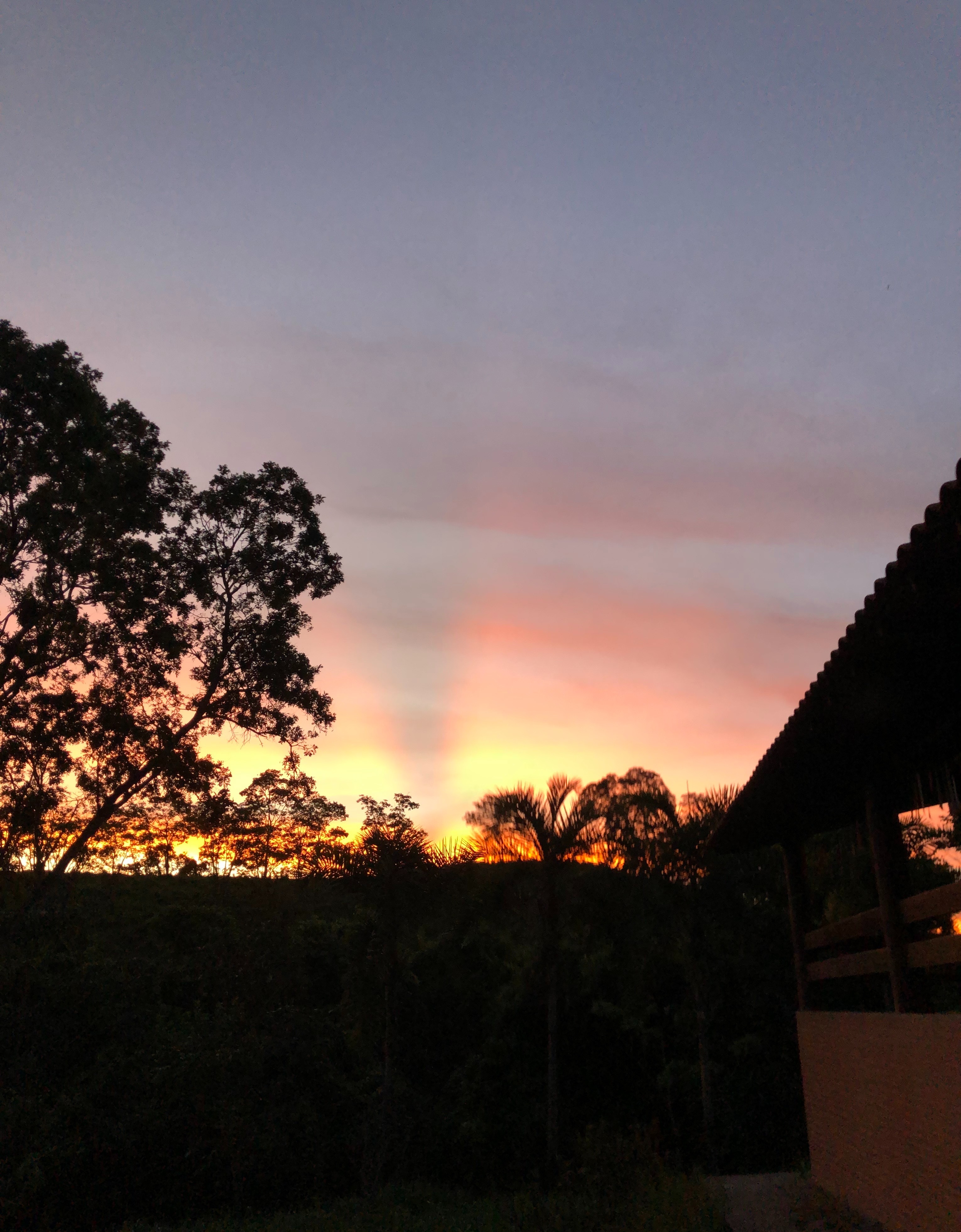 Feet Lovers OnlyFans header