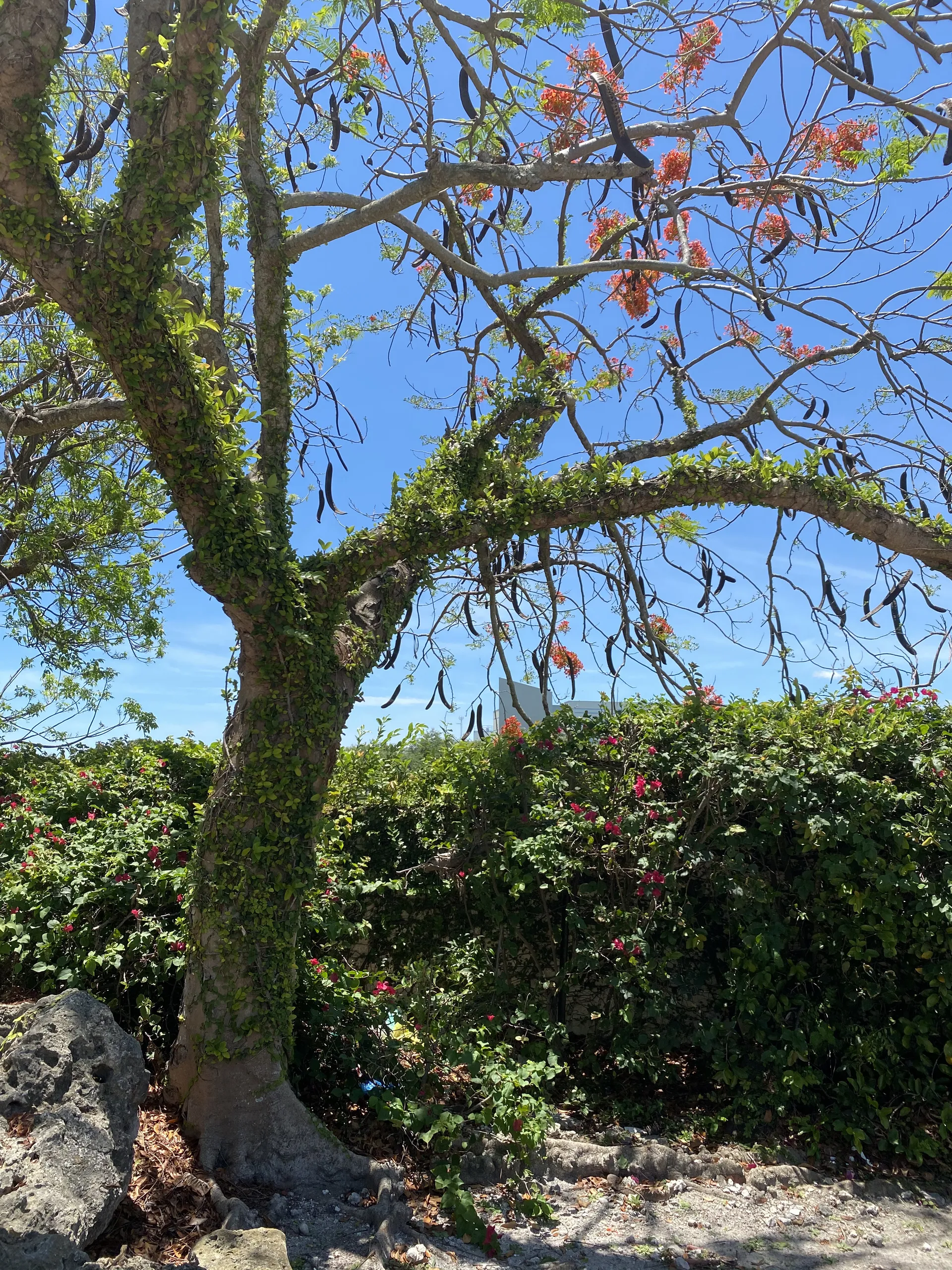 Hi there OnlyFans header