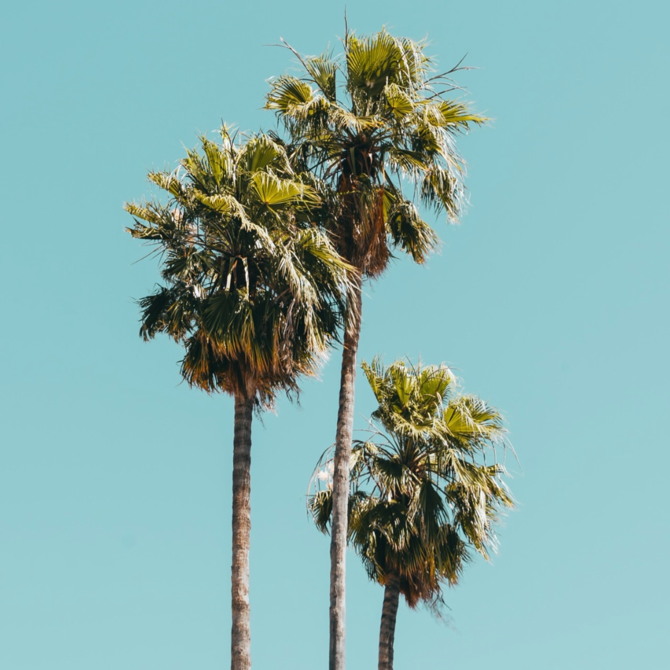 Tina Marina OnlyFans header