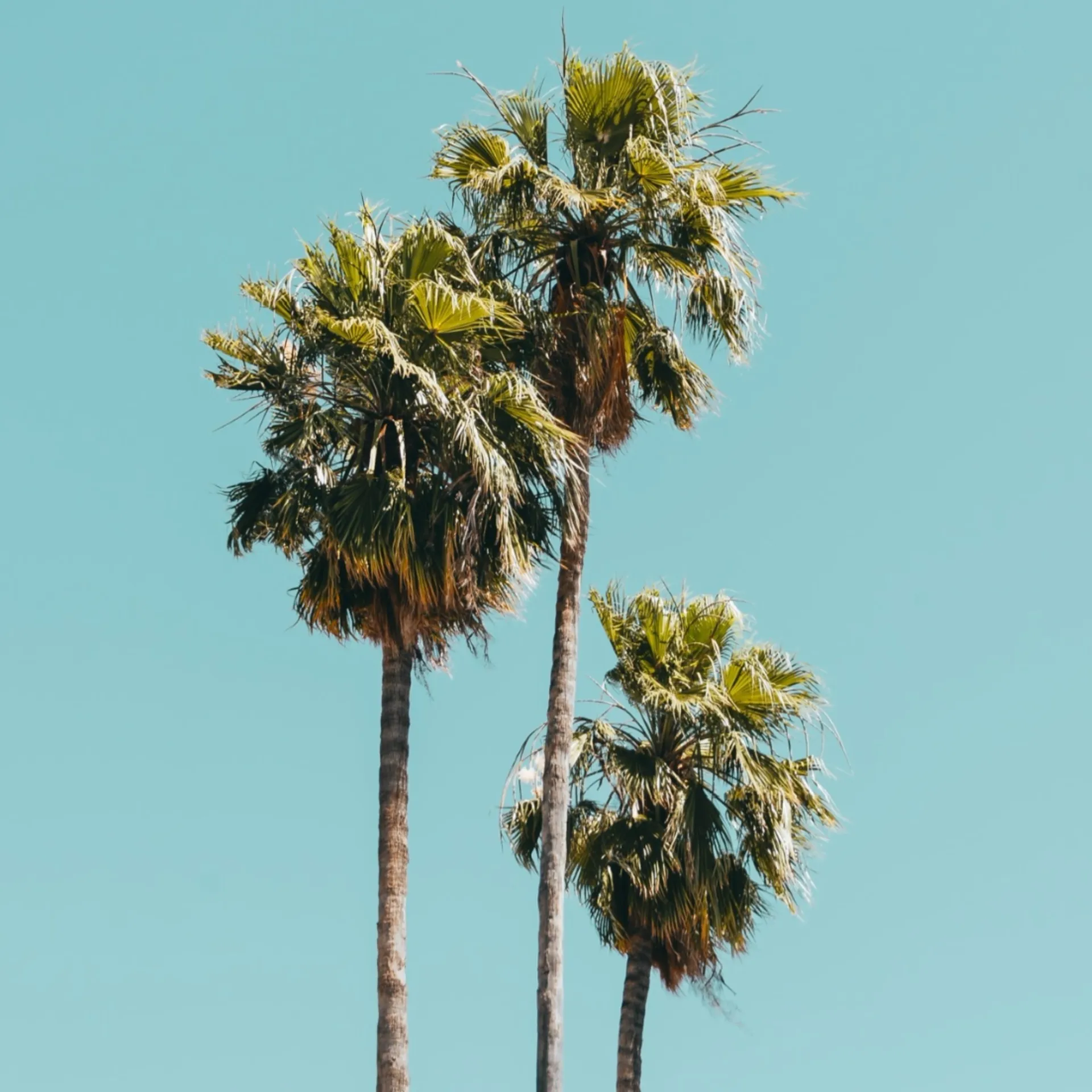 Tina Marina OnlyFans header