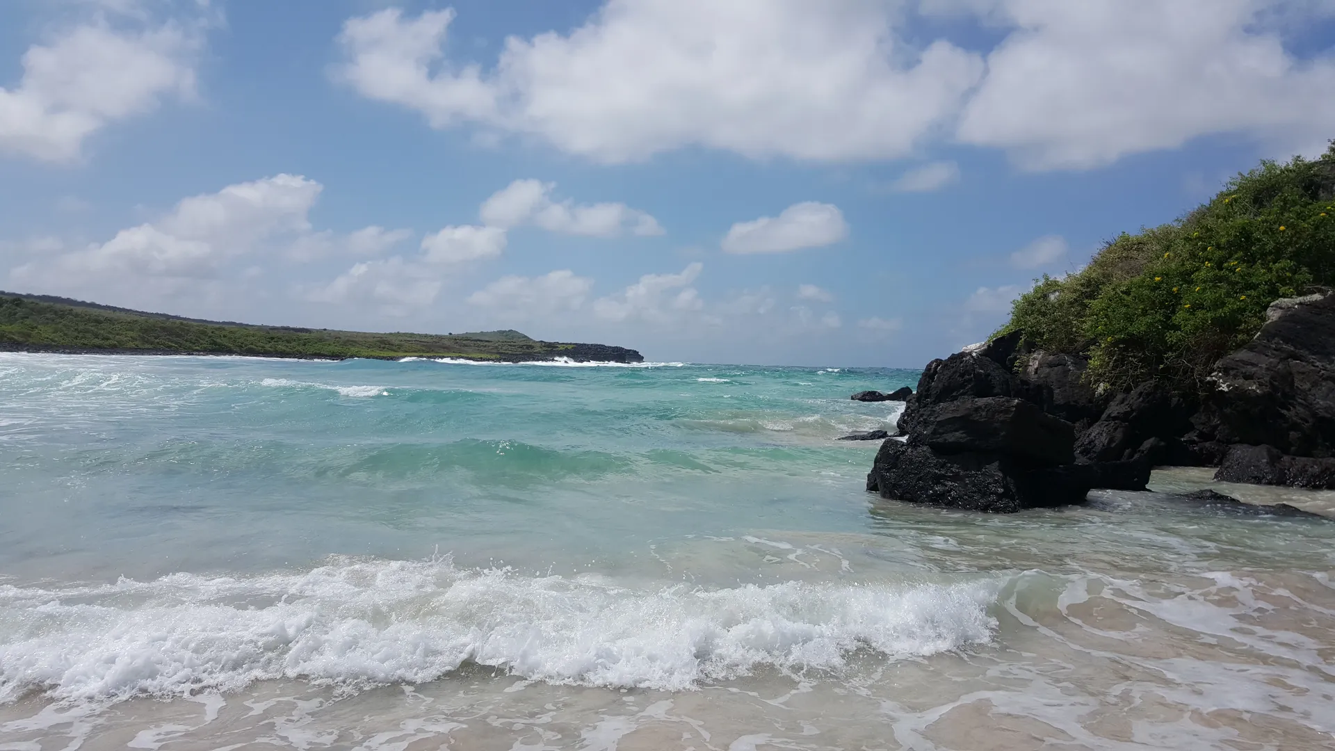 Daily OnlyFans header