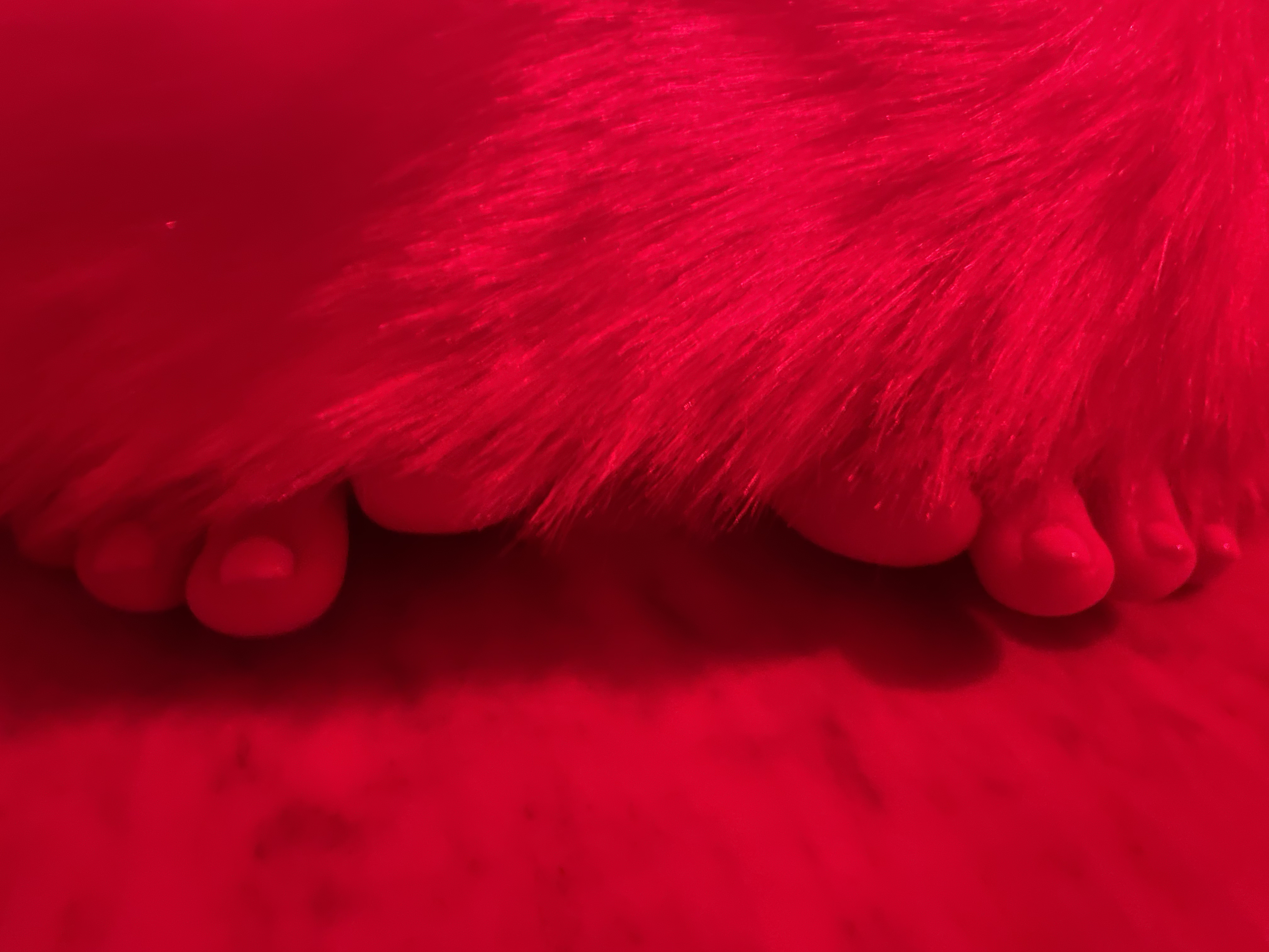 Feetingish OnlyFans header