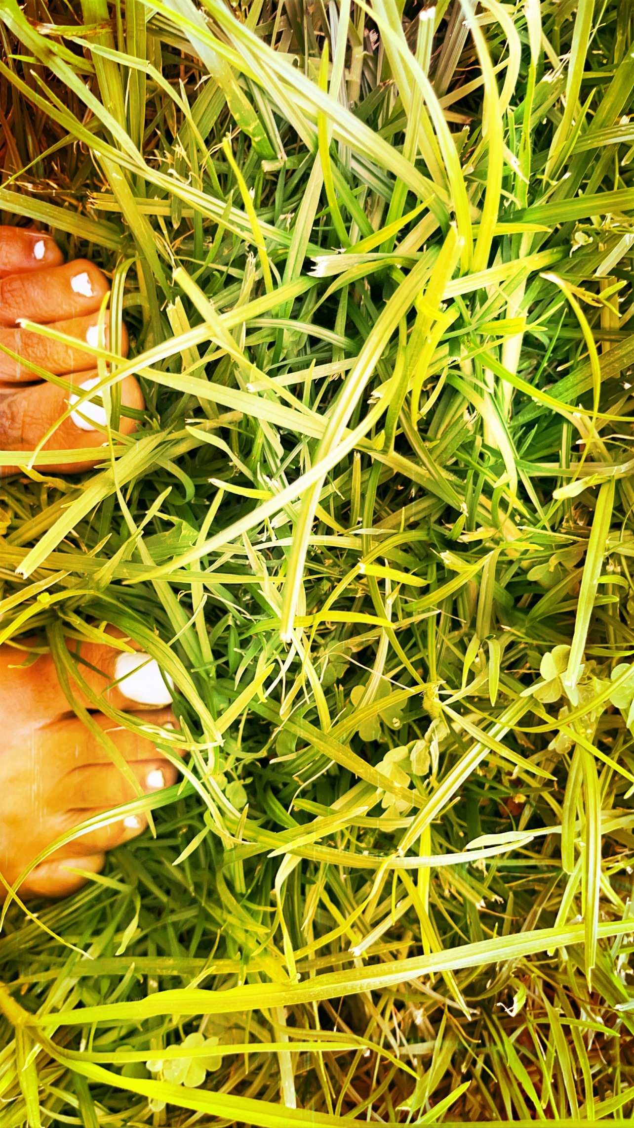 Puertoricangoddess OnlyFans