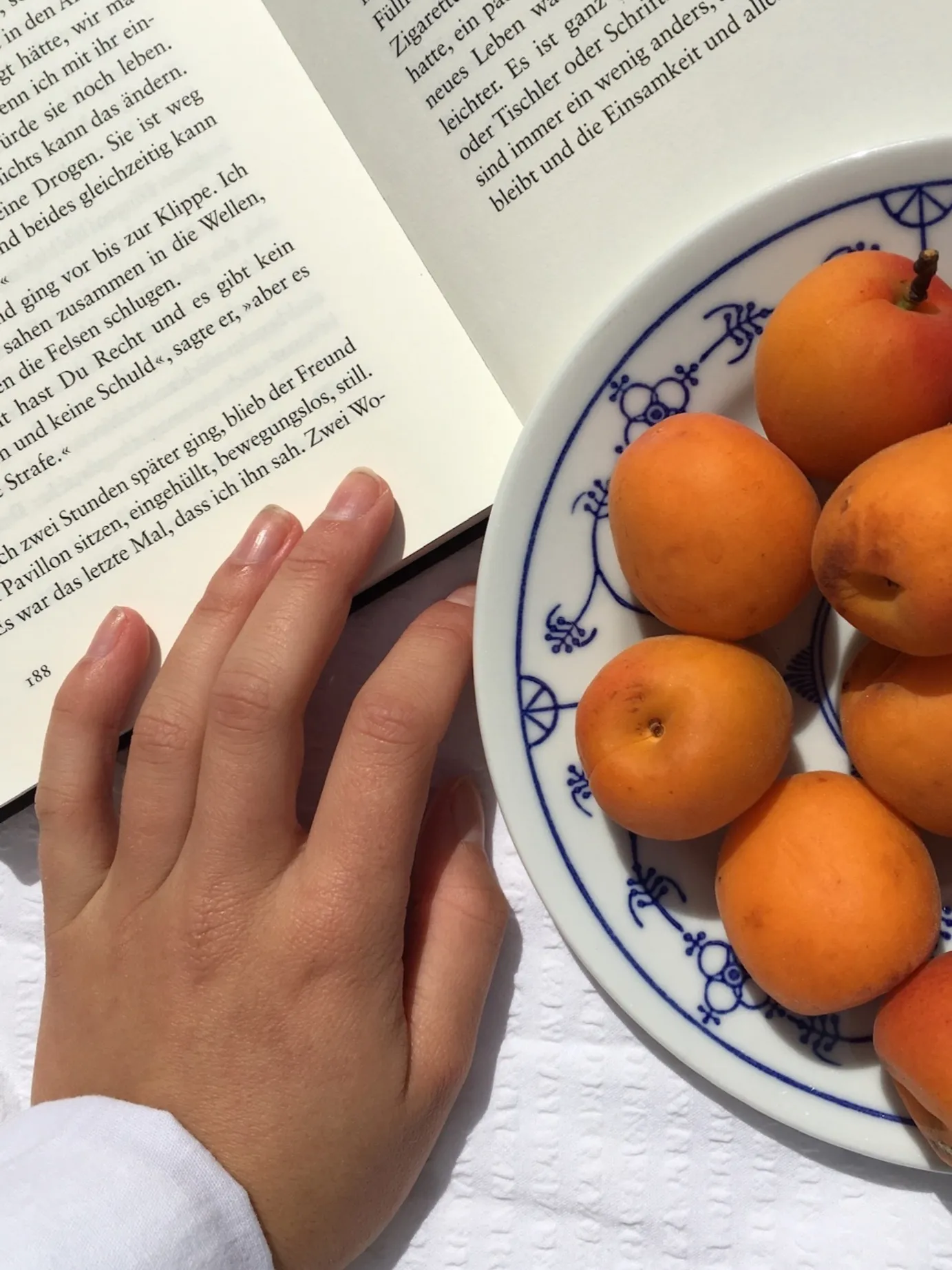 LottieLou OnlyFans header