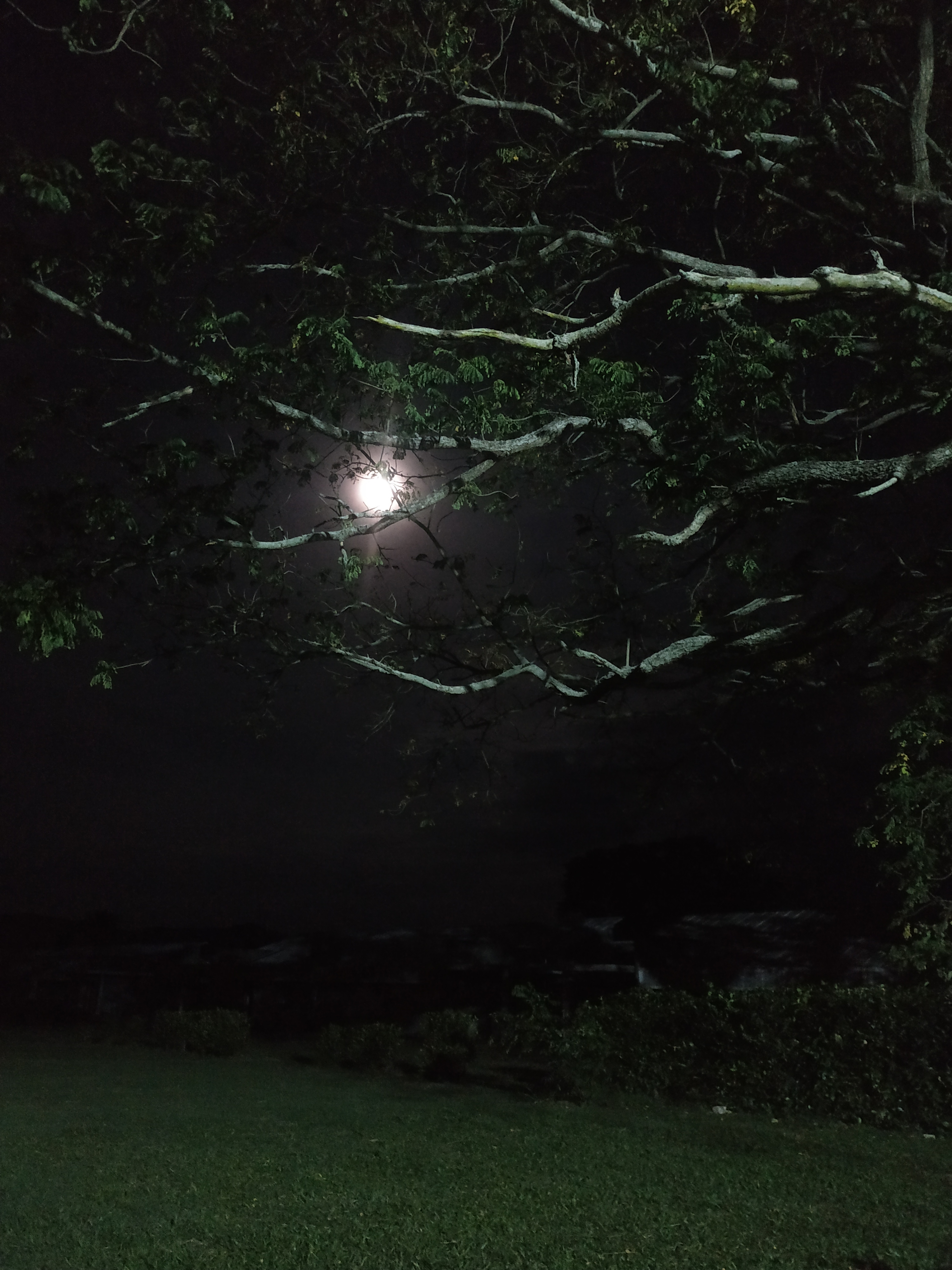 Karlyfeet OnlyFans header