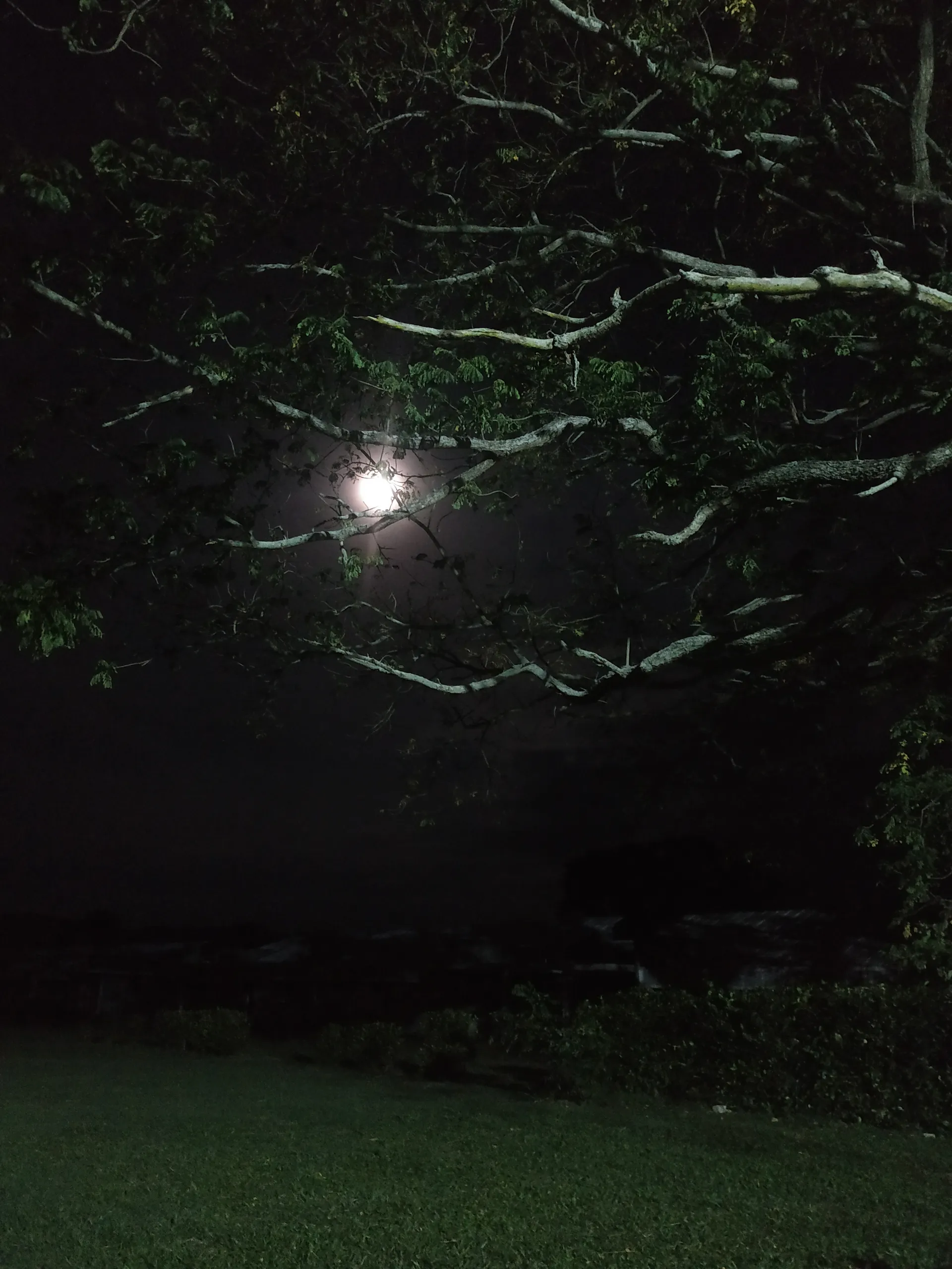 Karlyfeet OnlyFans header