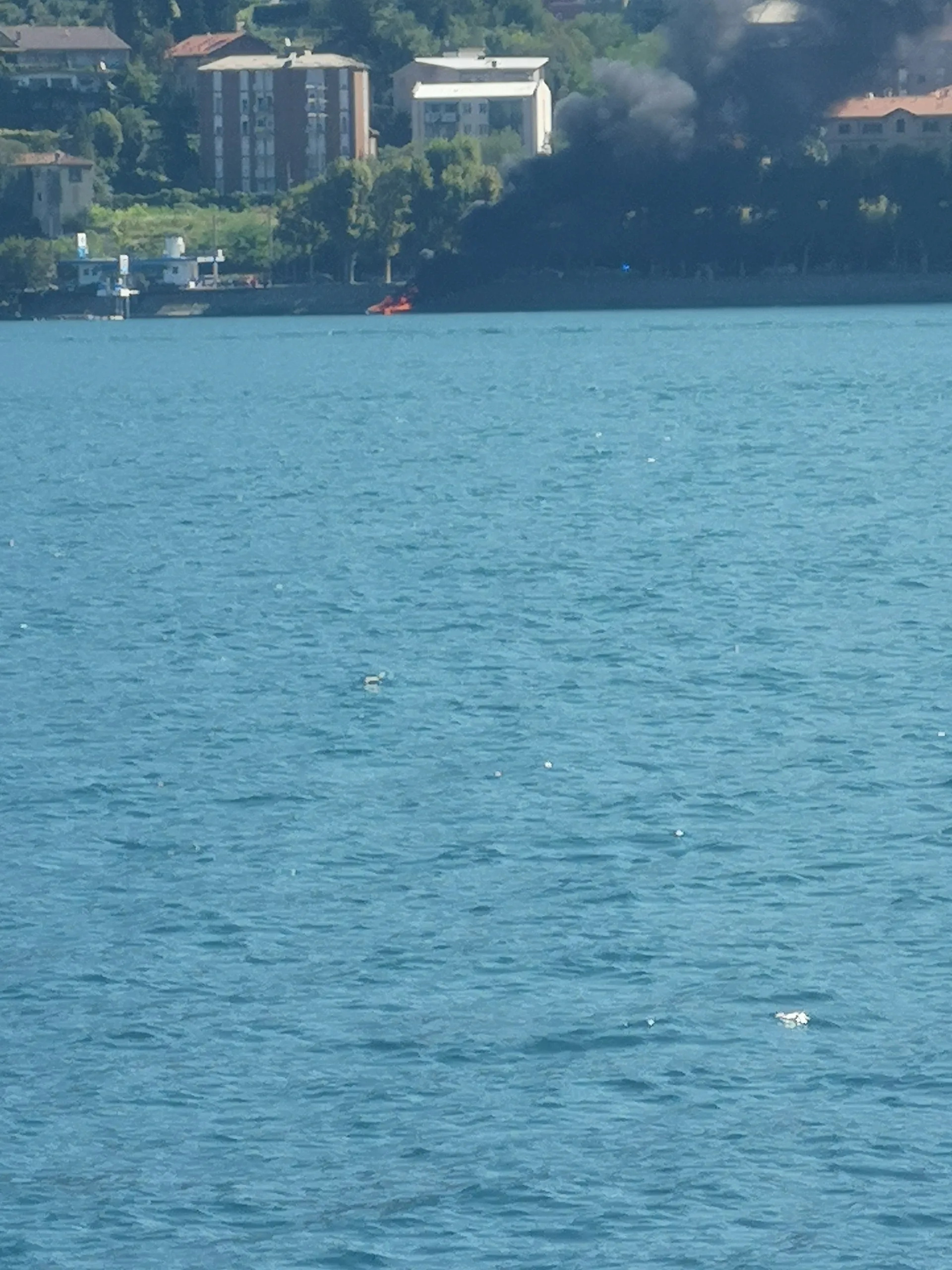 Feetlyn OnlyFans header