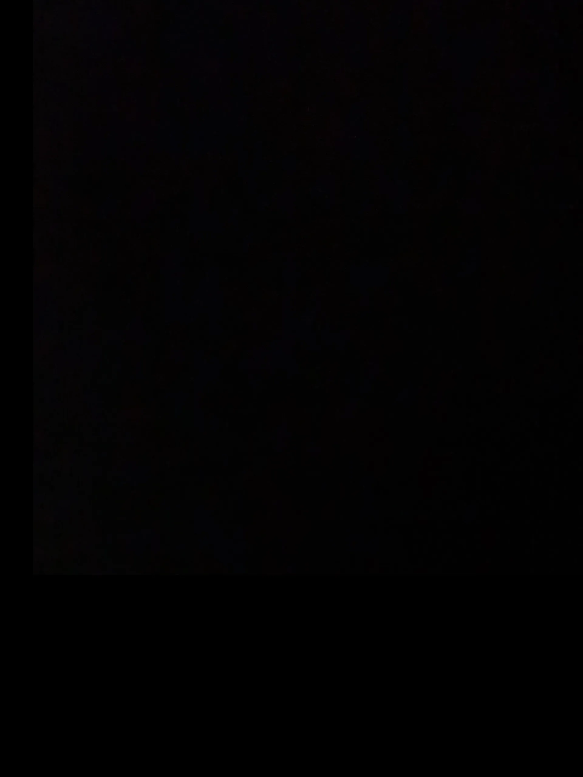 OnlyFeet OnlyFans header