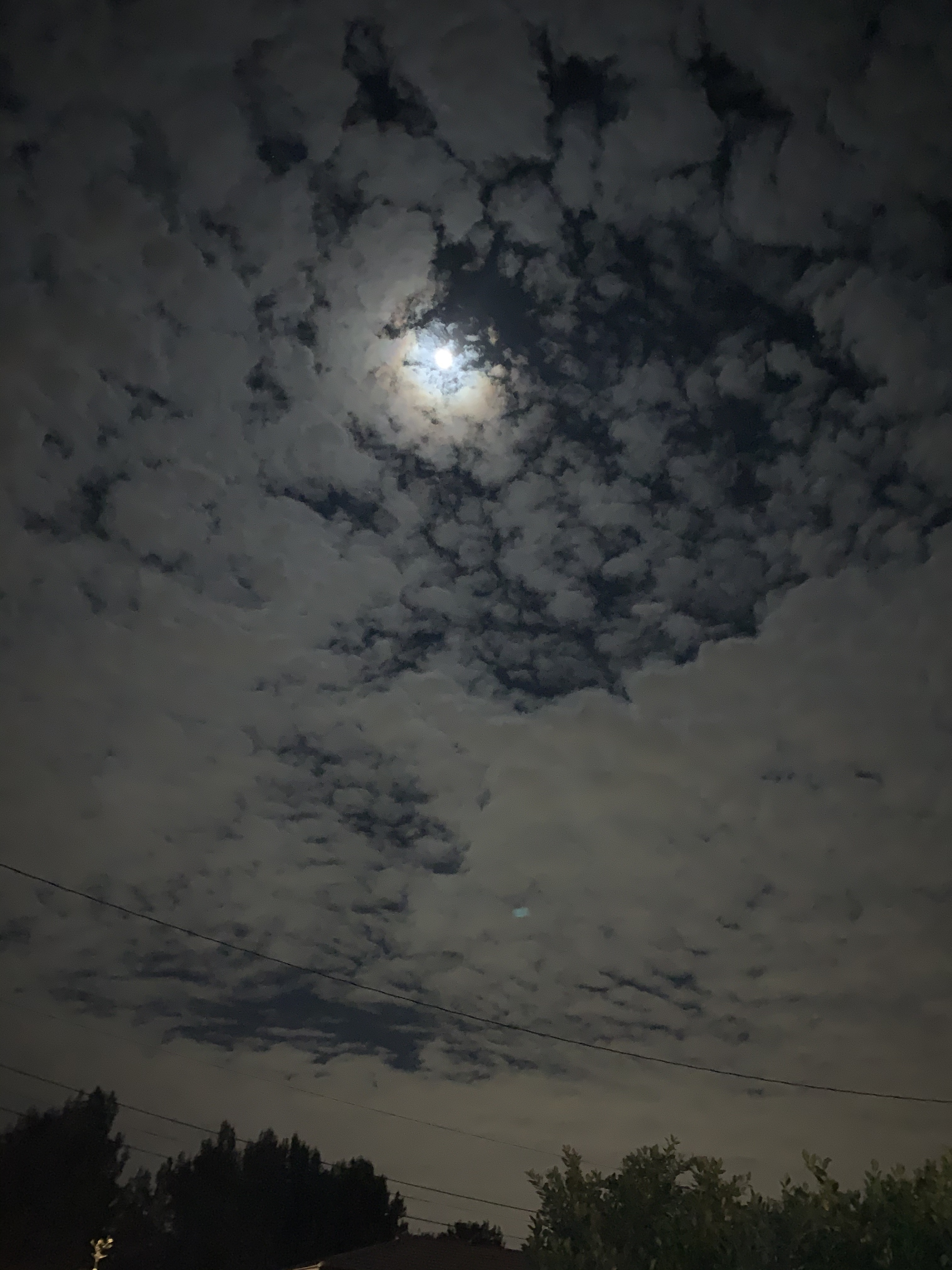 Furbes OnlyFans header