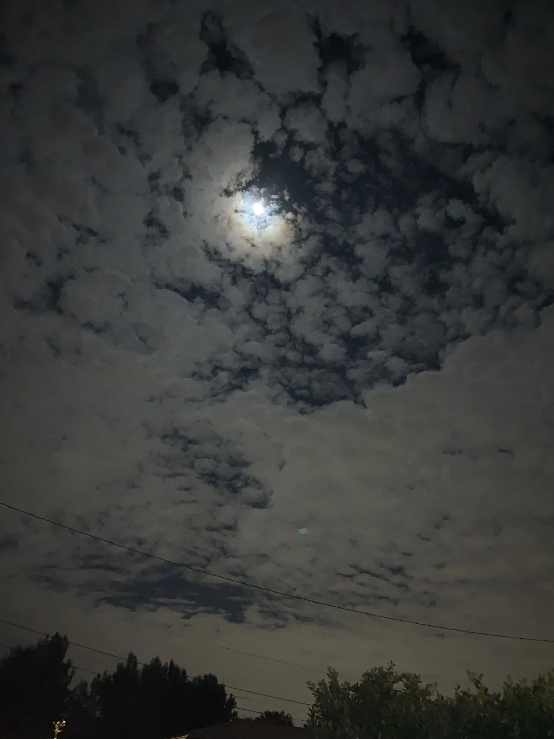 Furbes OnlyFans header