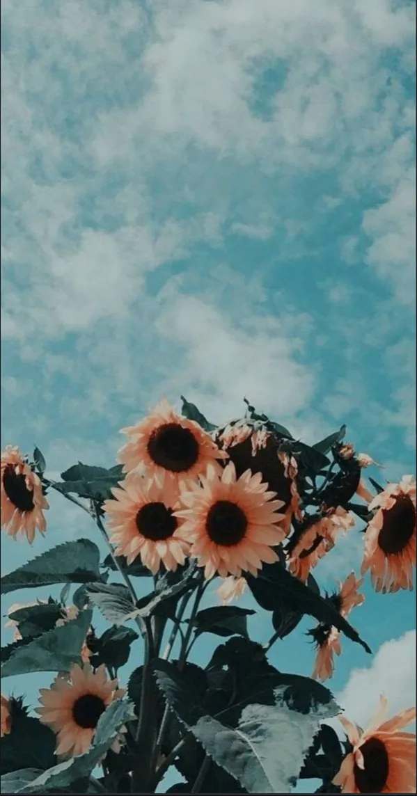 Beth OnlyFans header