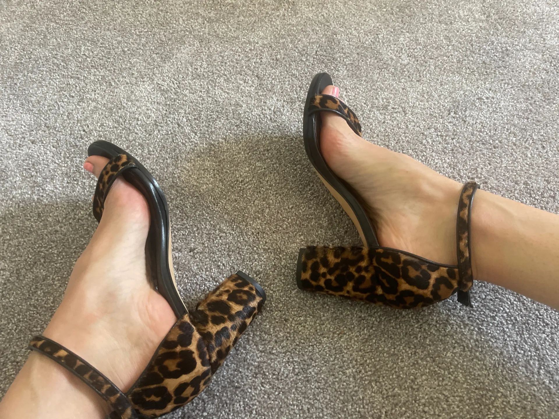 Feet Money For My Range OnlyFans header